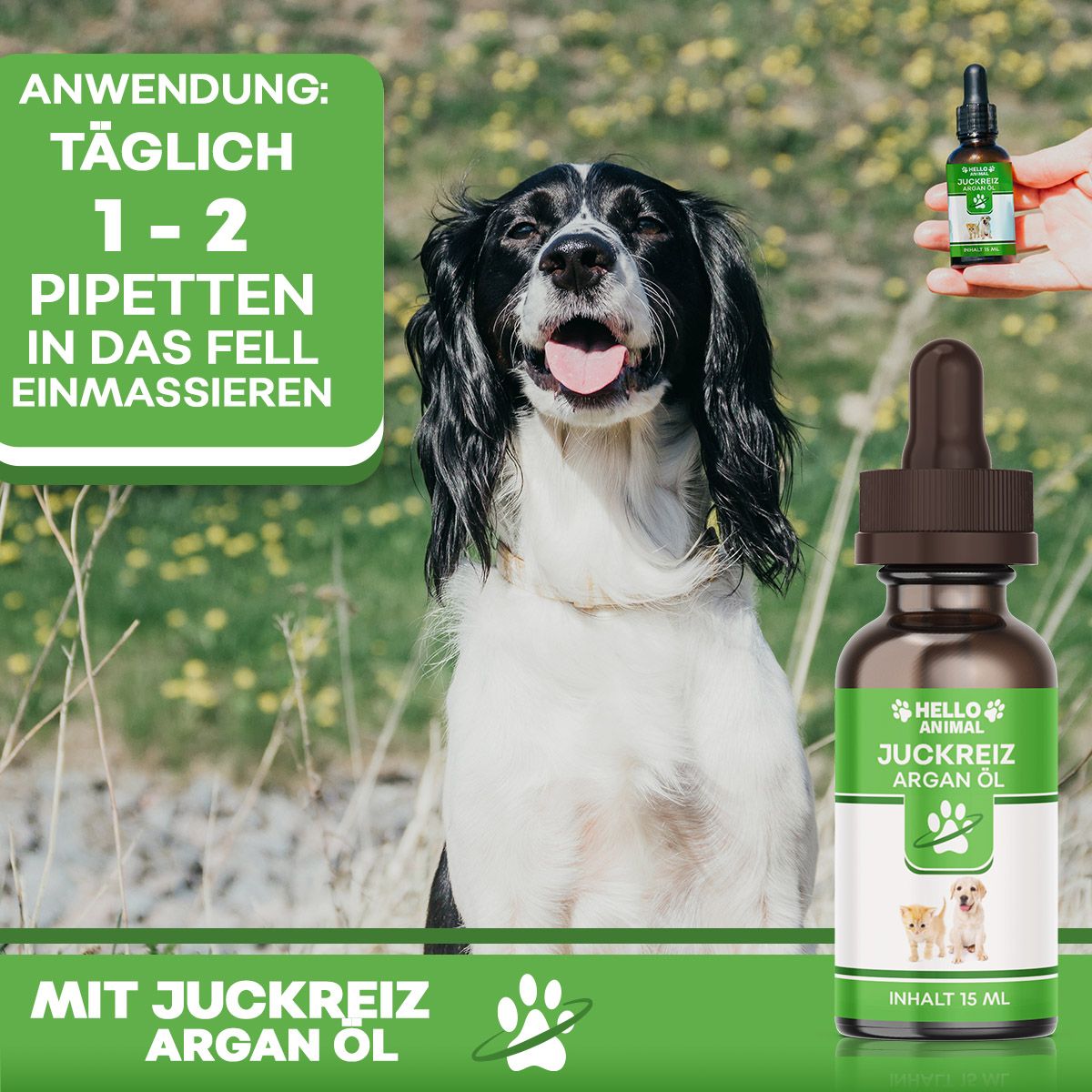 Hund im Freien. Flasche mit "Hello Animal" und "Juckreiz Argan Öl". Hand hält Flasche.