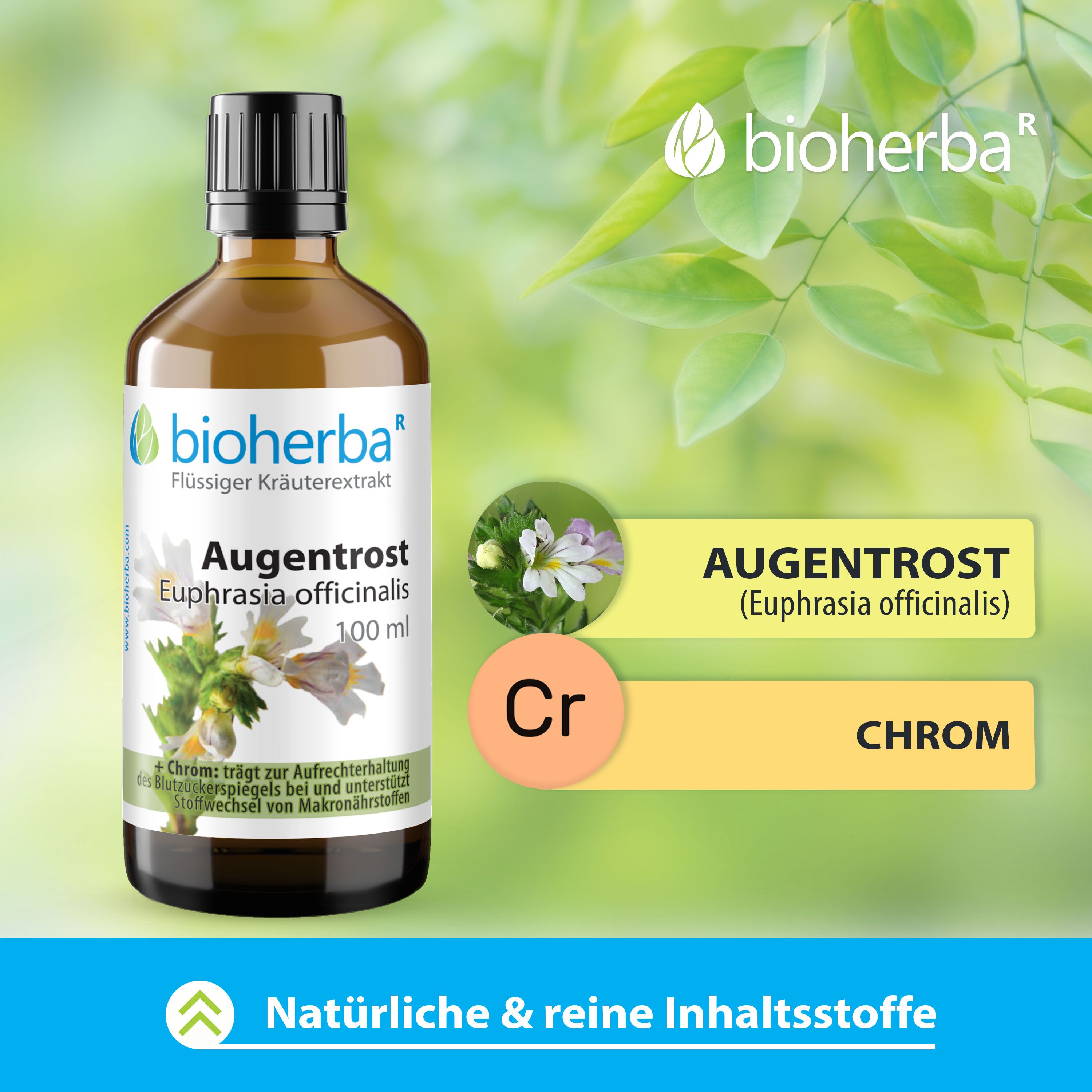 Bioherba Augentrost Euphrasia officinalis Tropfen Tinktur