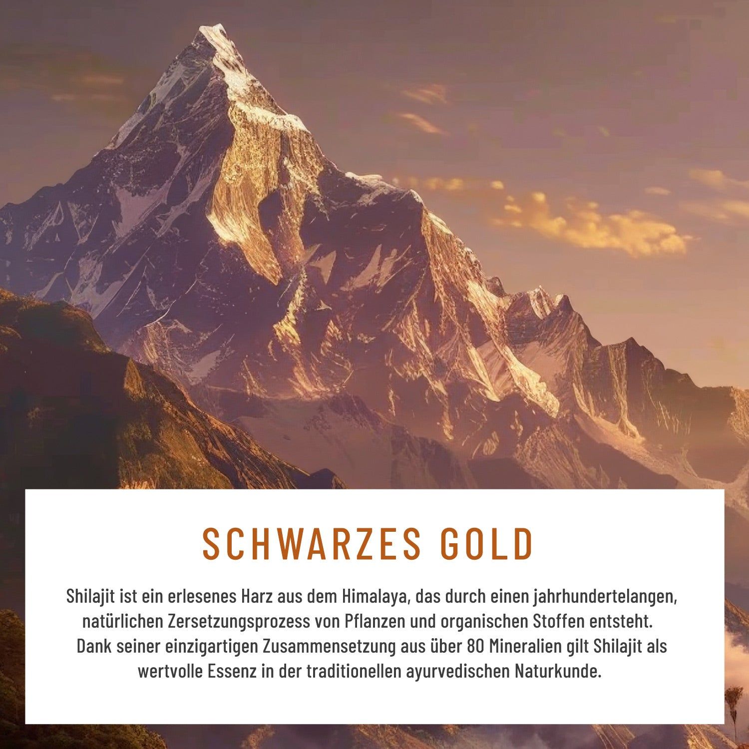 Text über Schwarzes Gold: Shilajit, ein Harz aus dem Himalaya. Text unterlegt mit Berglandschaft.