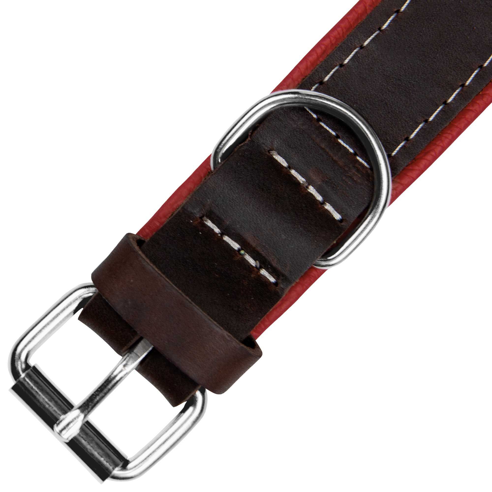 Schecker Hunde Halsband Moorfeuer