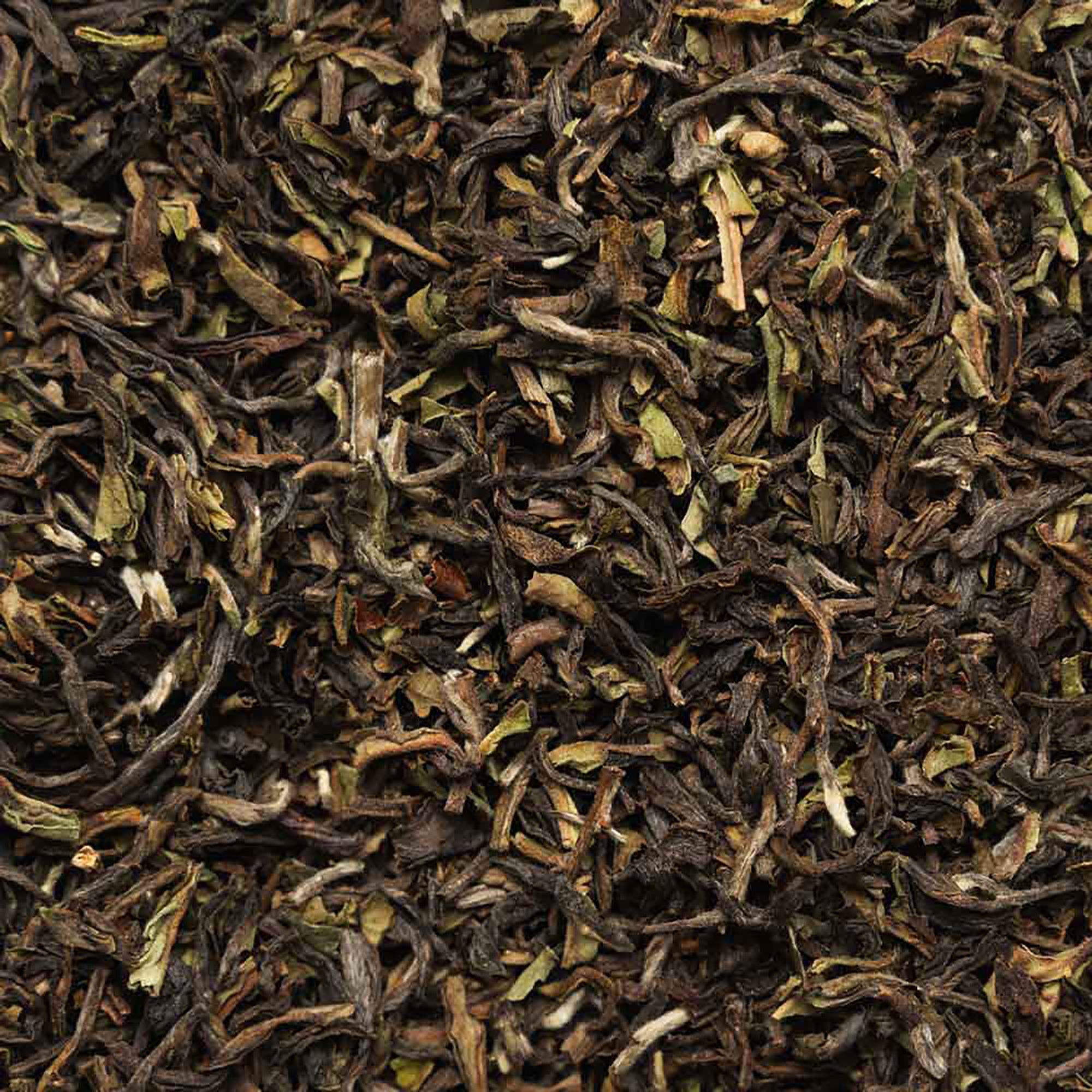 Primo piano di tè Darjeeling sfuso. Foglie di tè marrone scuro e verdi.