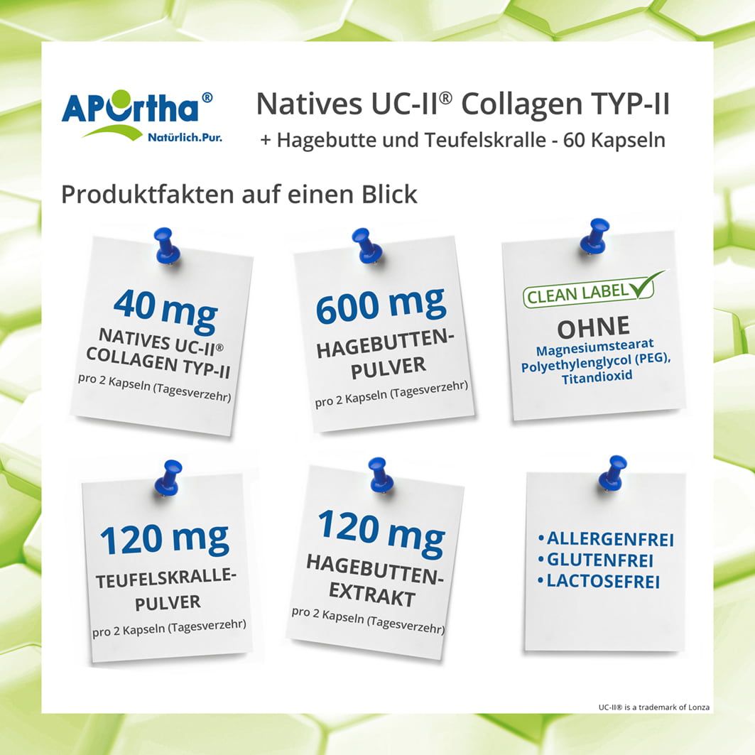 Infografik mit Produktinformationen: 40mg Natives UC-II Collagen, 600mg Hagebutten-Pulver, ohne Zusatzstoffe. 