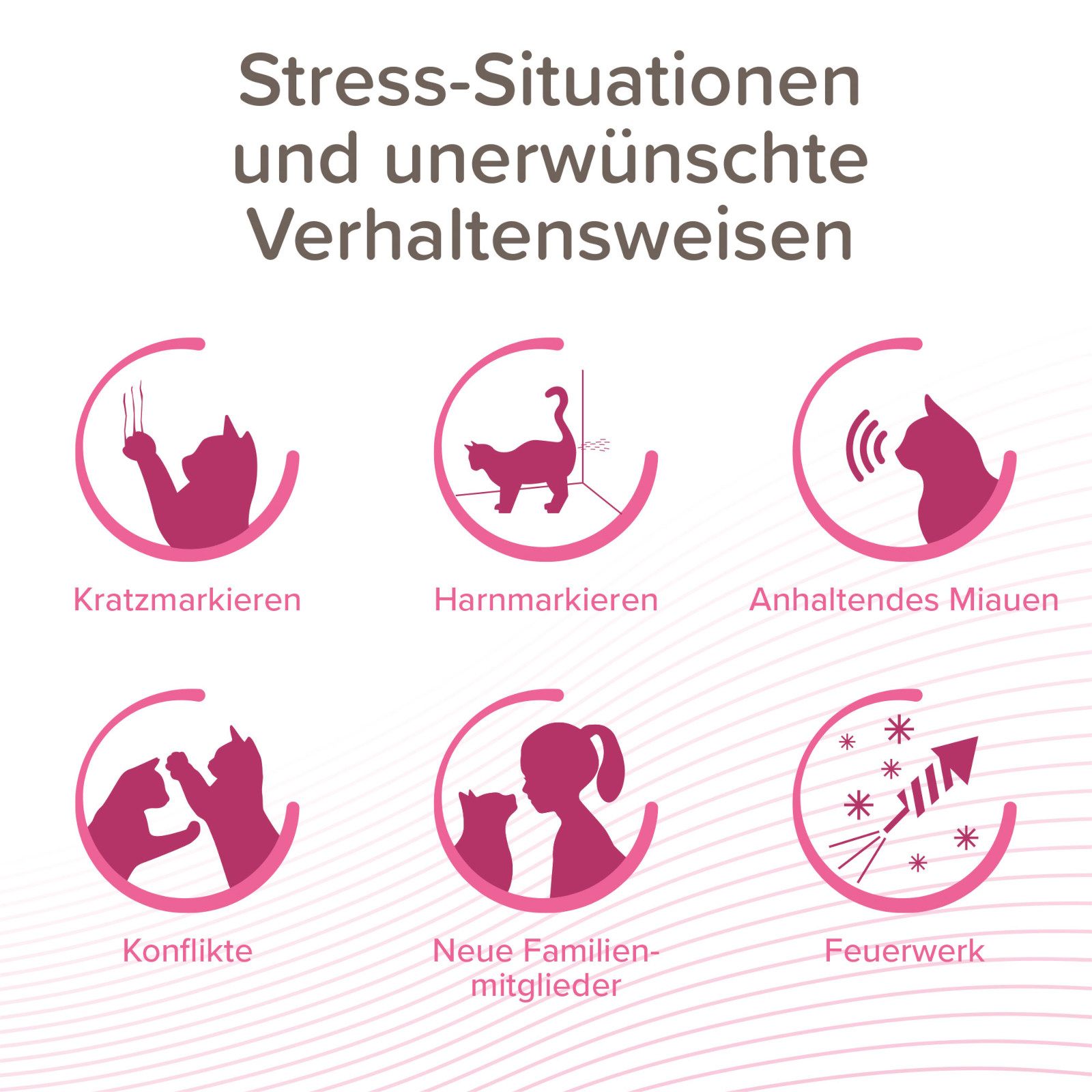 Grafische Darstellung von Stress-Situationen und unerwünschtem Verhalten bei Katzen. Sechs Illustrationen.