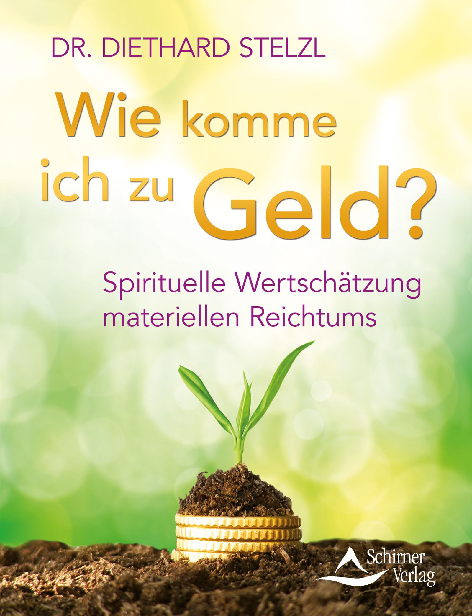 Buchcover mit Titel: Wie komme ich zu Geld? Autor: Dr. Diethard Stelzl. Untertitel: Spirituelle Wertschätzung materiellen Reichtums. Verlag: Schirner Verlag.