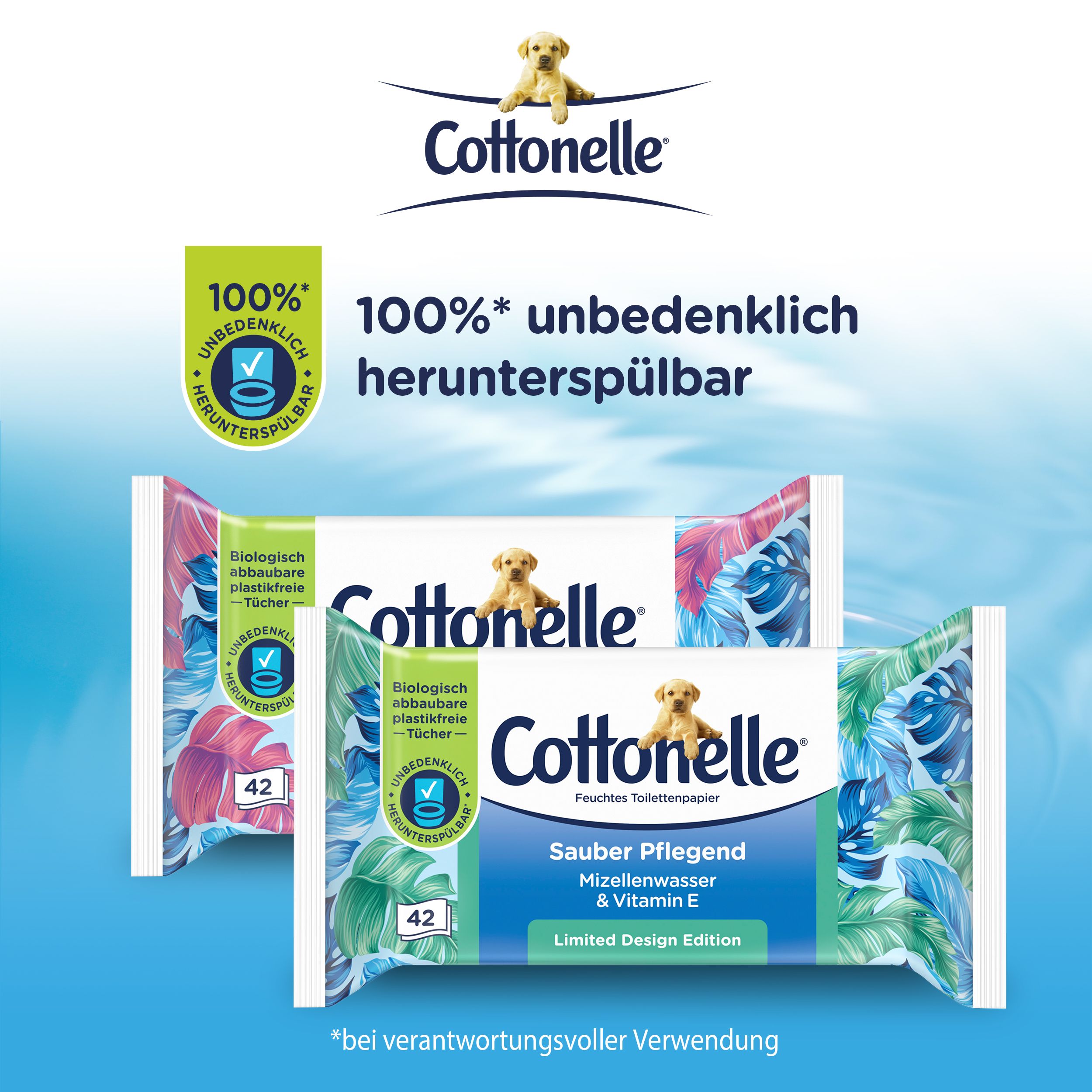 Zwei Packungen Cottonelle Feuchtes Toilettenpapier. Aufdruck: Sauber Pflegend, Mizellenwasser & Vitamin E, Limited Design Edition. 42 Tücher.