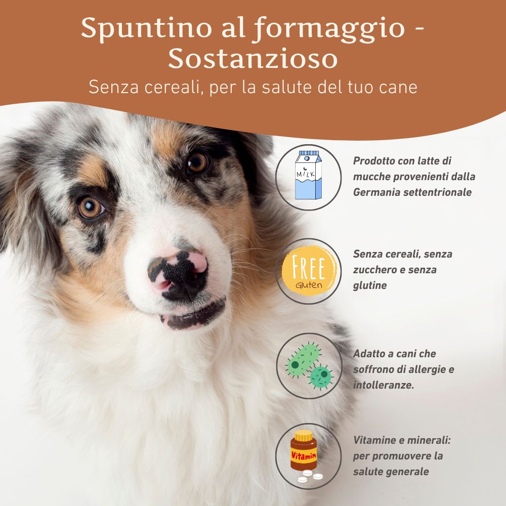 Hund mit Text: Spuntino al formaggio - Sostanzioso. Ohne Getreide, für die Gesundheit Ihres Hundes. Illustrationen.