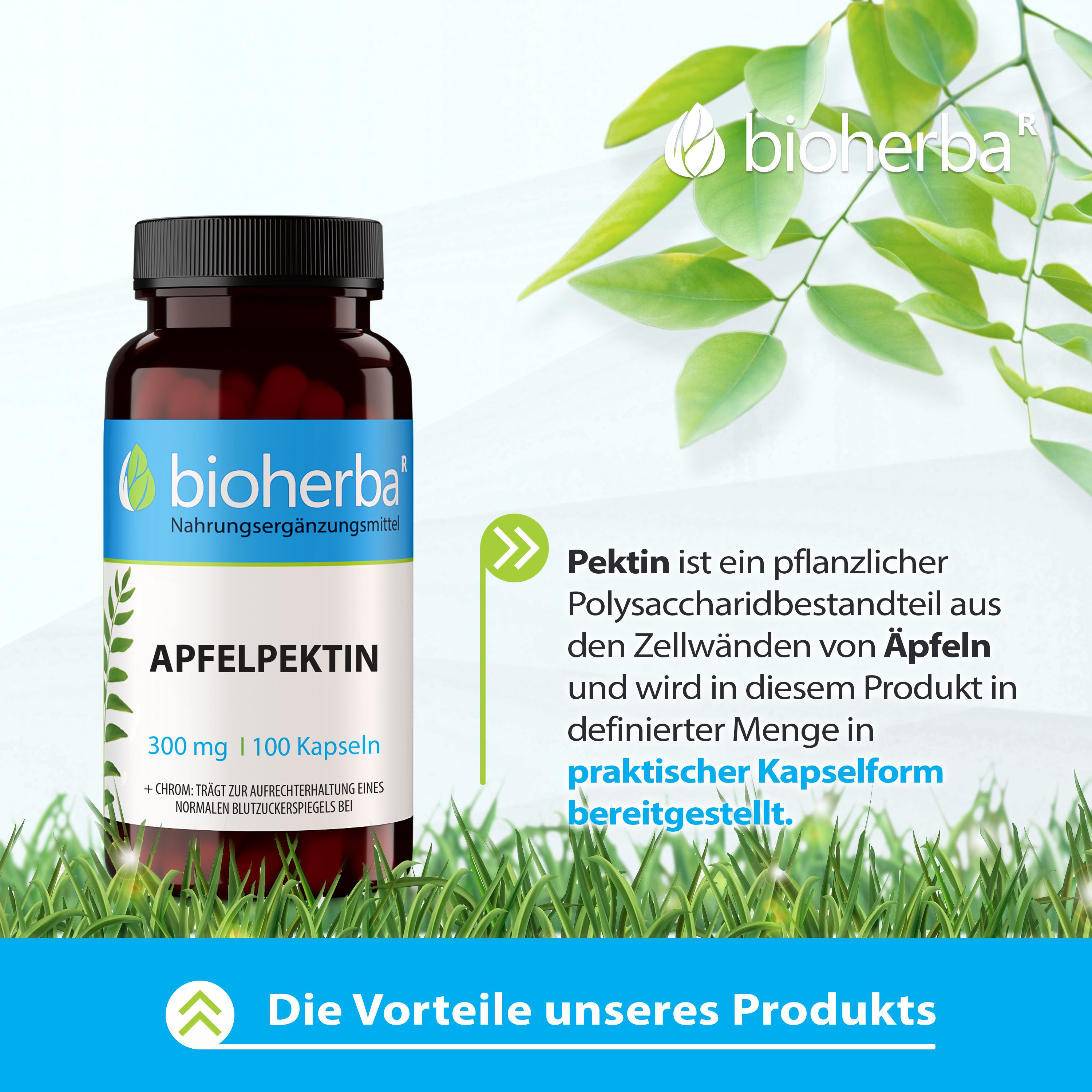 Bioherba Apfelpektin Kapseln