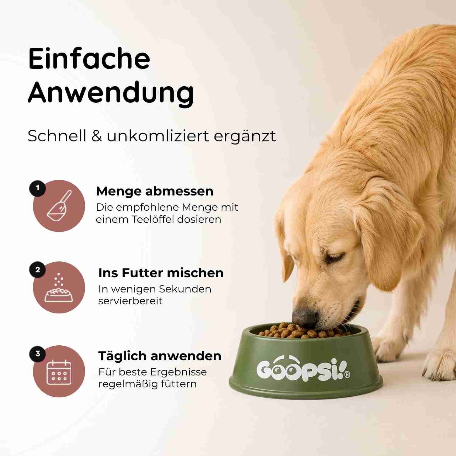 Hund frisst aus Napf. Links daneben Anleitungen zur einfachen Anwendung.