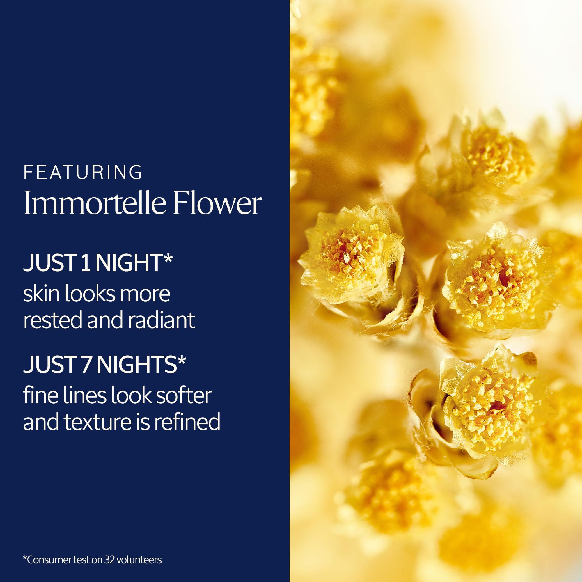 Nahaufnahme gelber Blüten. Text: Immortelle Flower, Just 1 Night, Just 7 Nights.