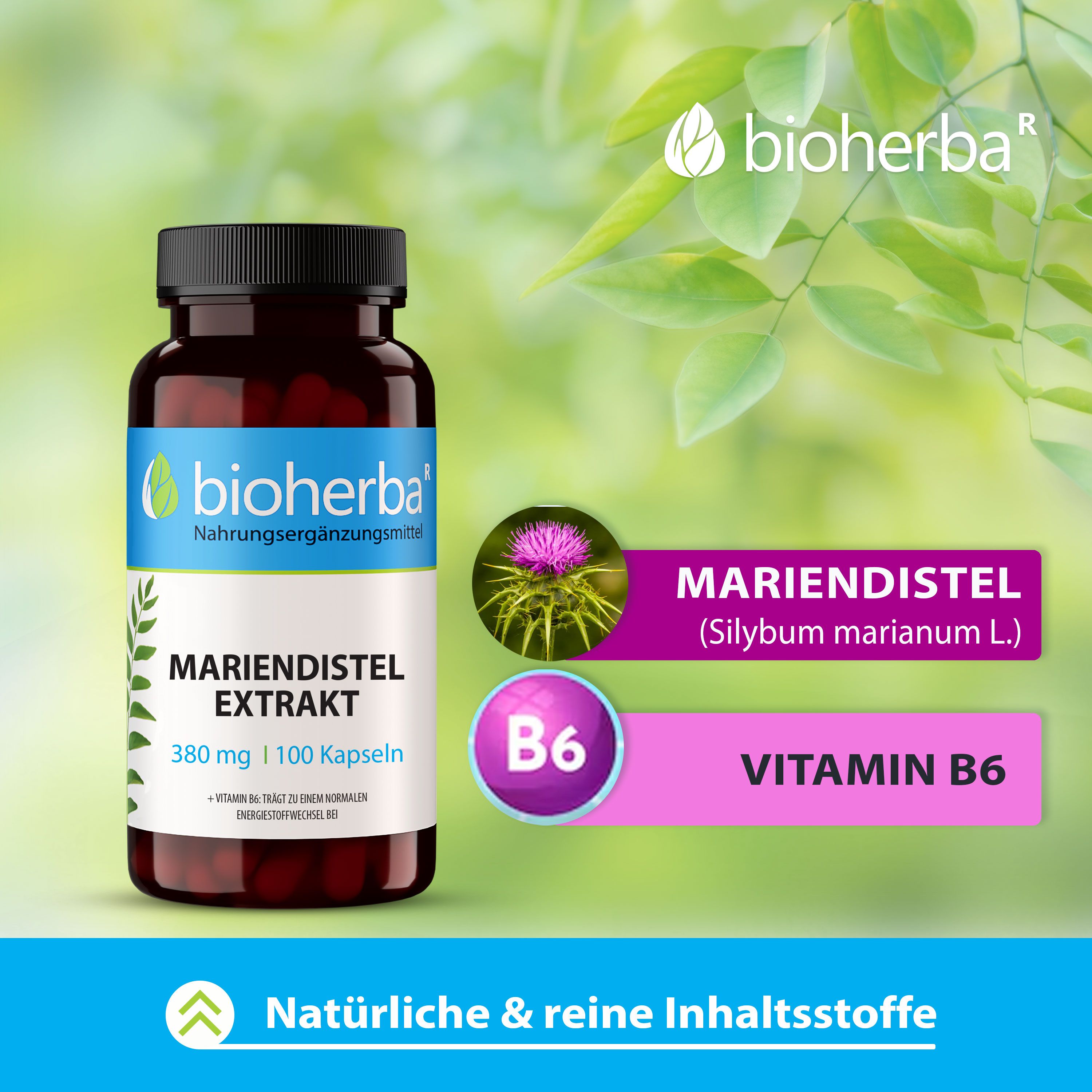 Bioherba Mariendistel Extrakt Kapseln