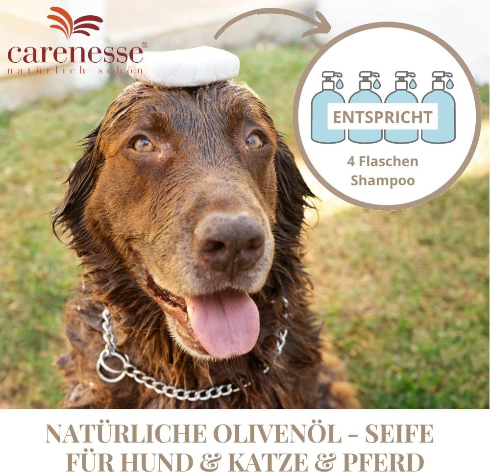 Hund mit Seife auf dem Kopf. Logo Carenesse. Text: Natürliche Olivenöl-Seife für Hund & Katze & Pferd. Entspricht 4 Flaschen Shampoo.