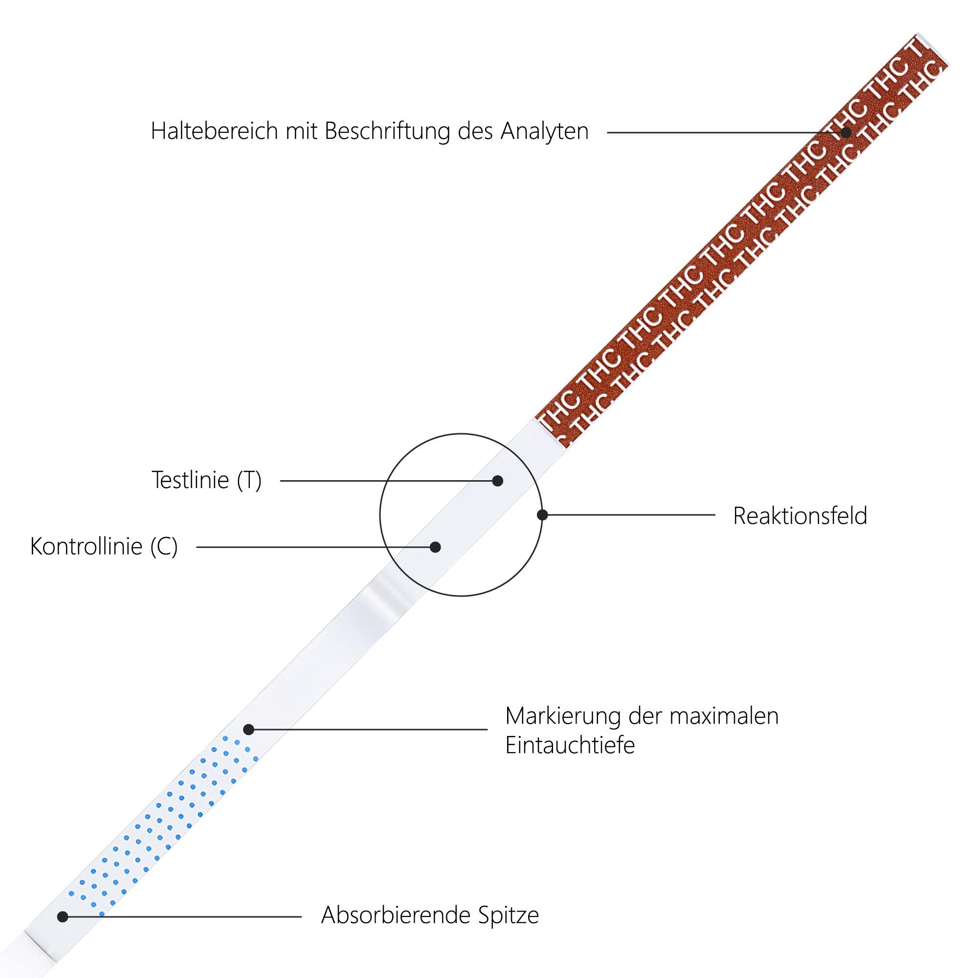 Drogentest Cannabis (Marihuana / Haschisch / THC) - 10