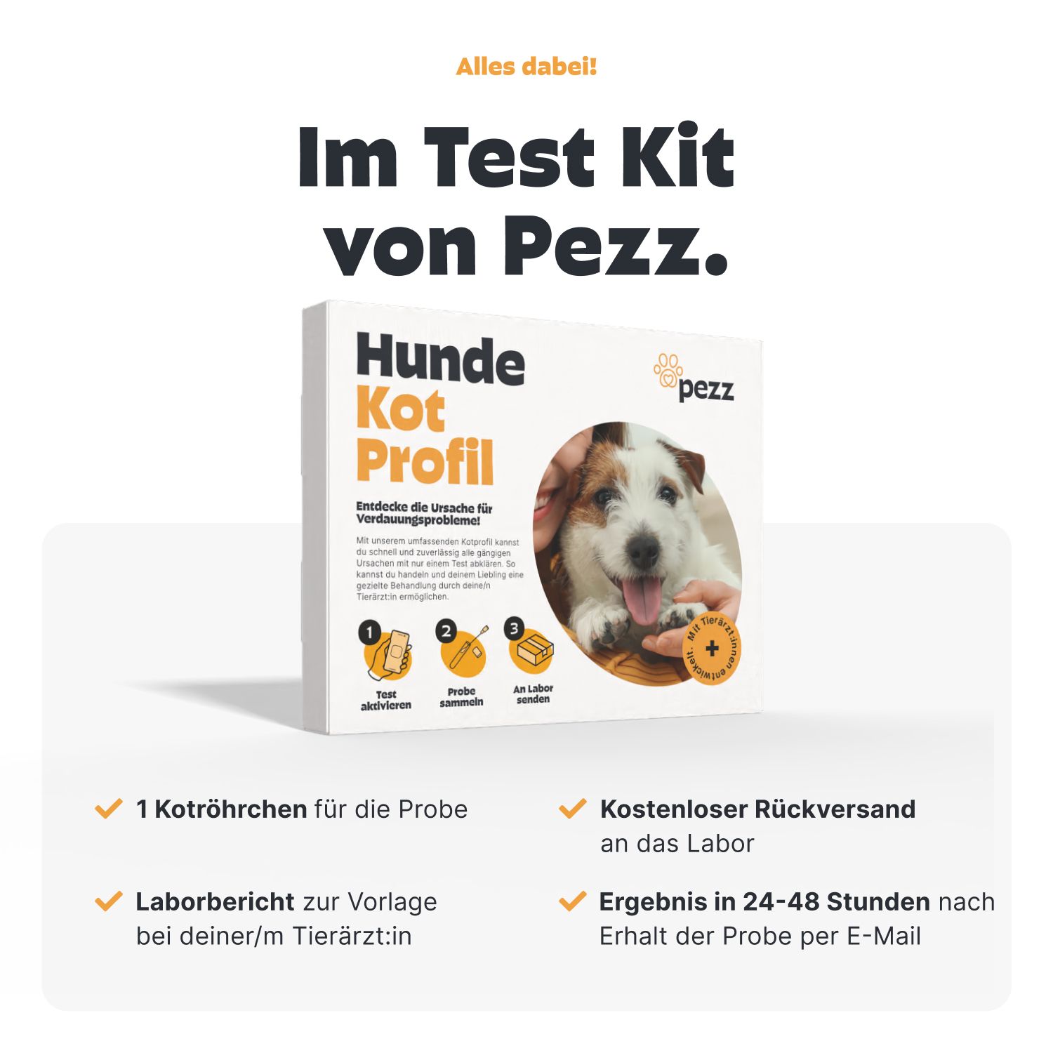 Infografik: Alles im Test Kit von Pezz. 1 Röhrchen für die Probe. Kostenloser Rückversand. Laborbericht. Ergebnis per E-Mail.