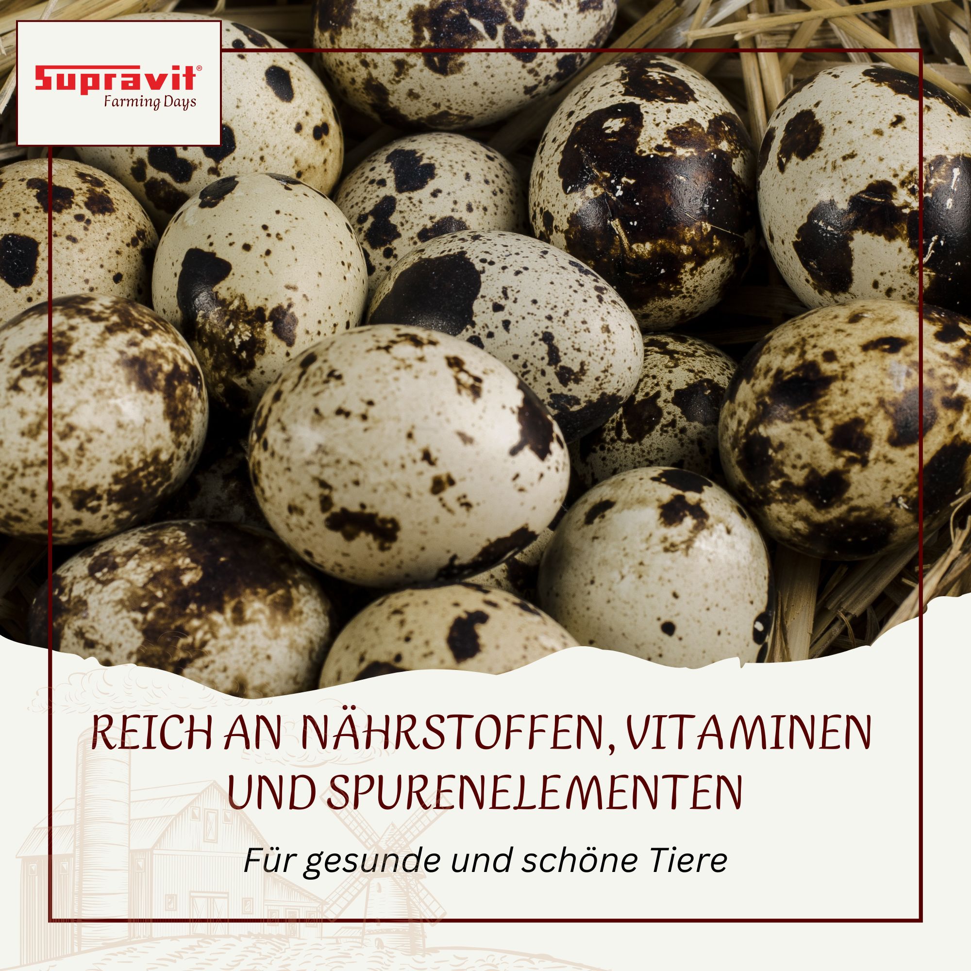Reich an Nährstoffen, Vitaminen und Spurenelementen. Text mit Eiern. Logo Supravit. Für gesunde und schöne Tiere.