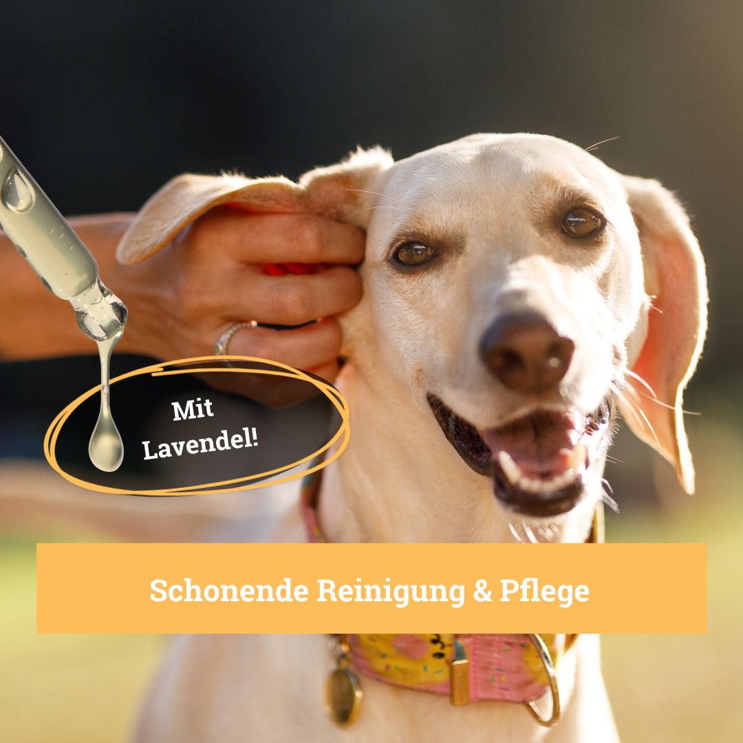 BeG Buddy Ohrreiniger für Hunde & Katzen