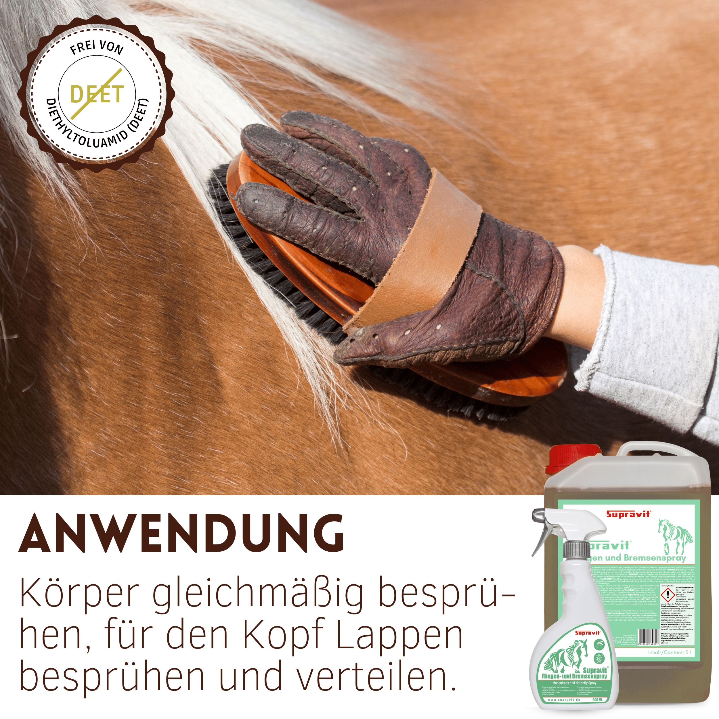 Pferd wird gebürstet, DEET-frei.