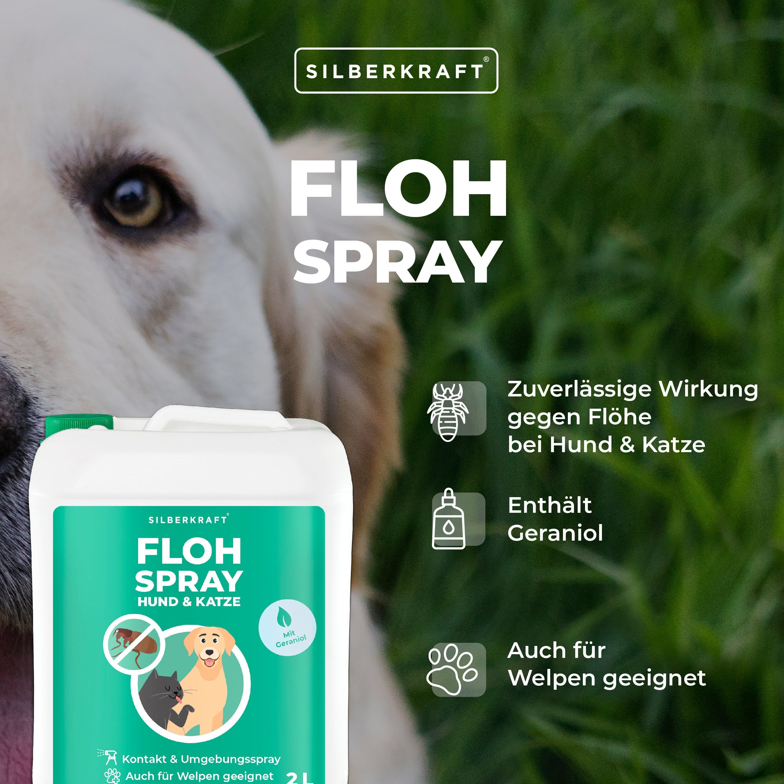 Hunde Haarfärbemittel 80g - 12 Farben Für Hunde & Katzen | Sicher & Temporär | Rosa