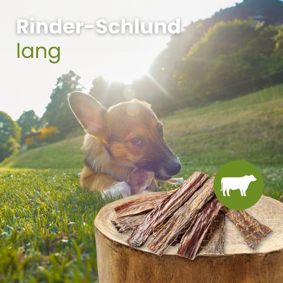 Getrocknete Rinder-Schlund-Streifen, 100% Rind, hoher Proteingehalt.