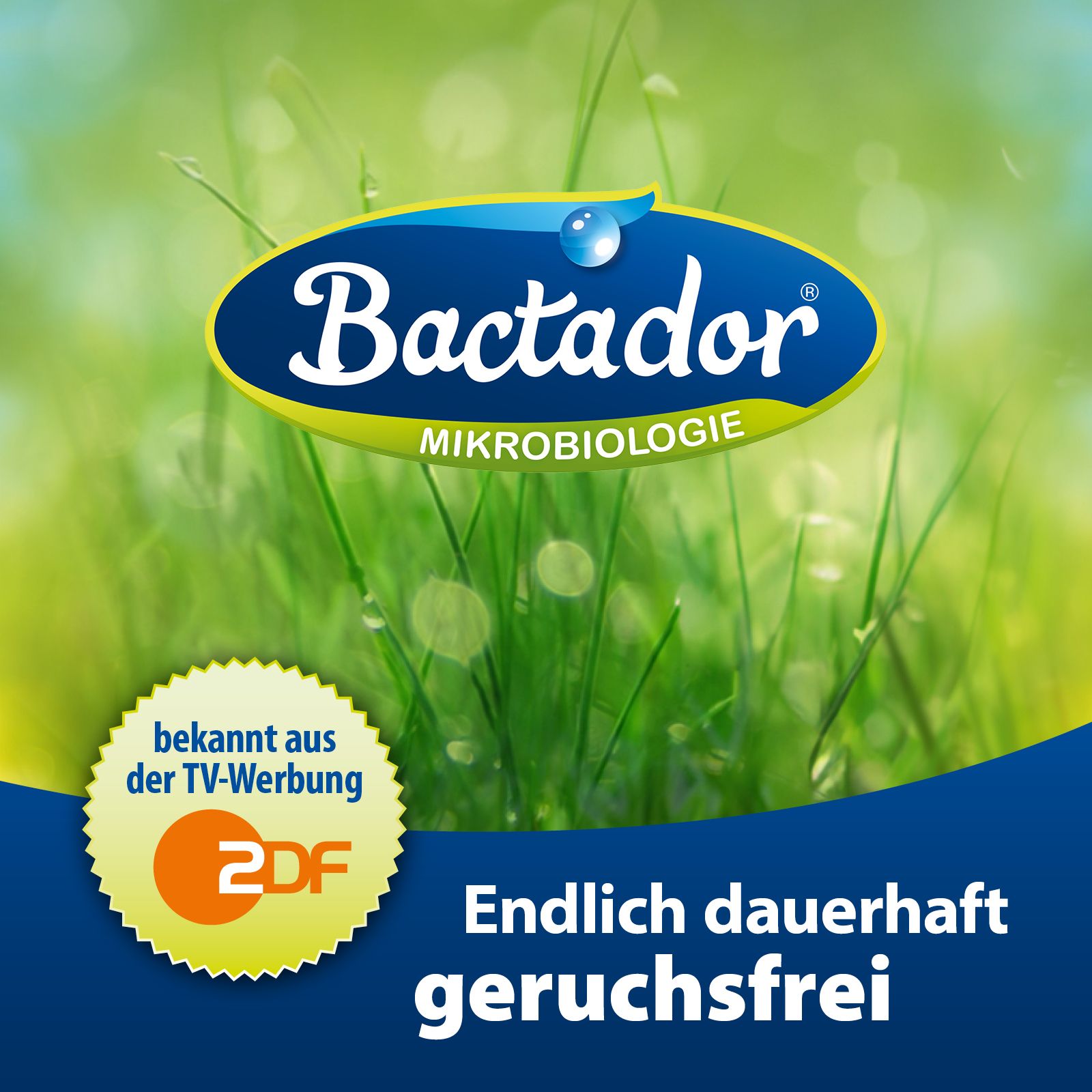 Bactador Geruchs- und Fleckenentferner Konzentrat 5000 ml Flüssigkeit