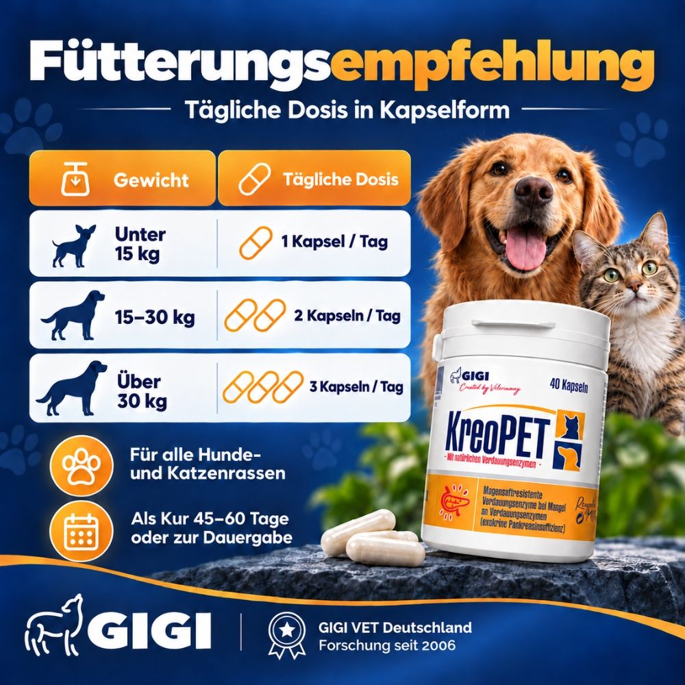 Ein Hund und eine Katze neben einem Behälter mit KreoPET-Kapseln, umgeben von Futter und Text.
