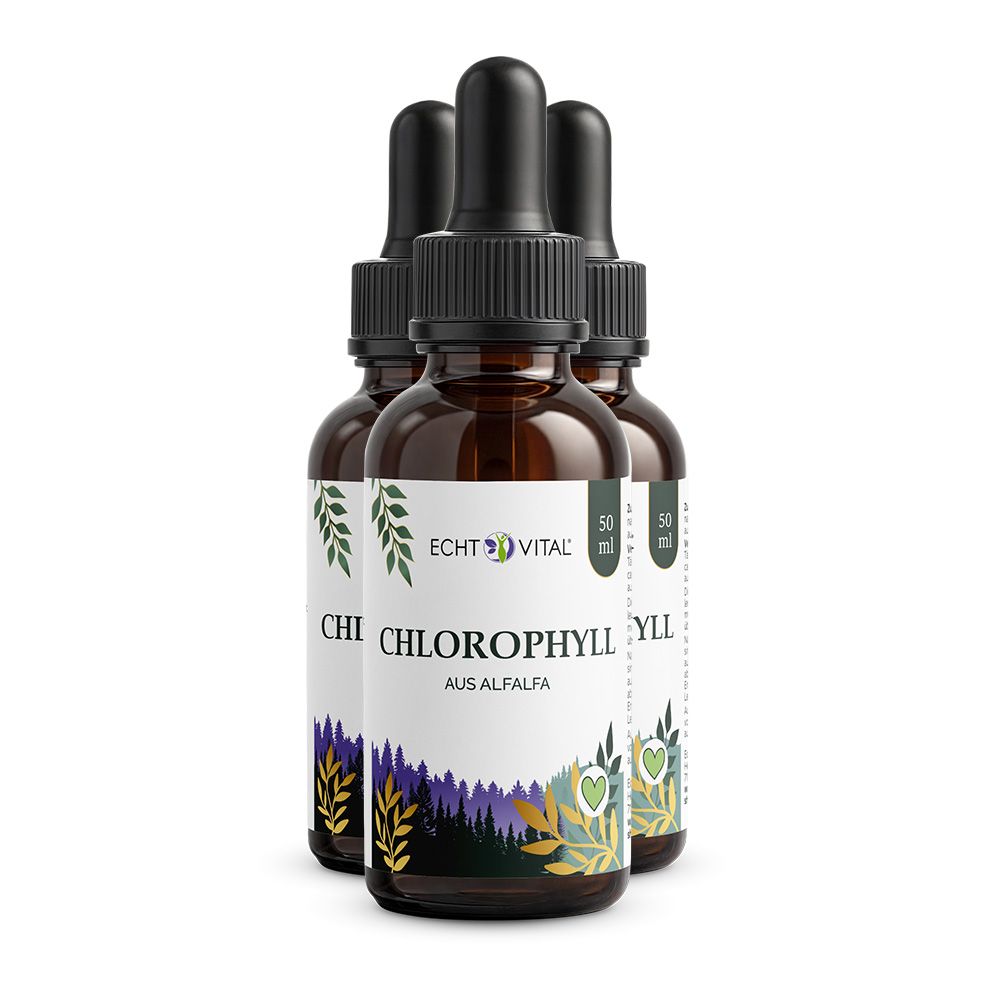 Drei braune Flaschen mit Etiketten. Text: Echt Vital Chlorophyll, Aus Alfalfa. Tropferaufsatz. 50 ml.