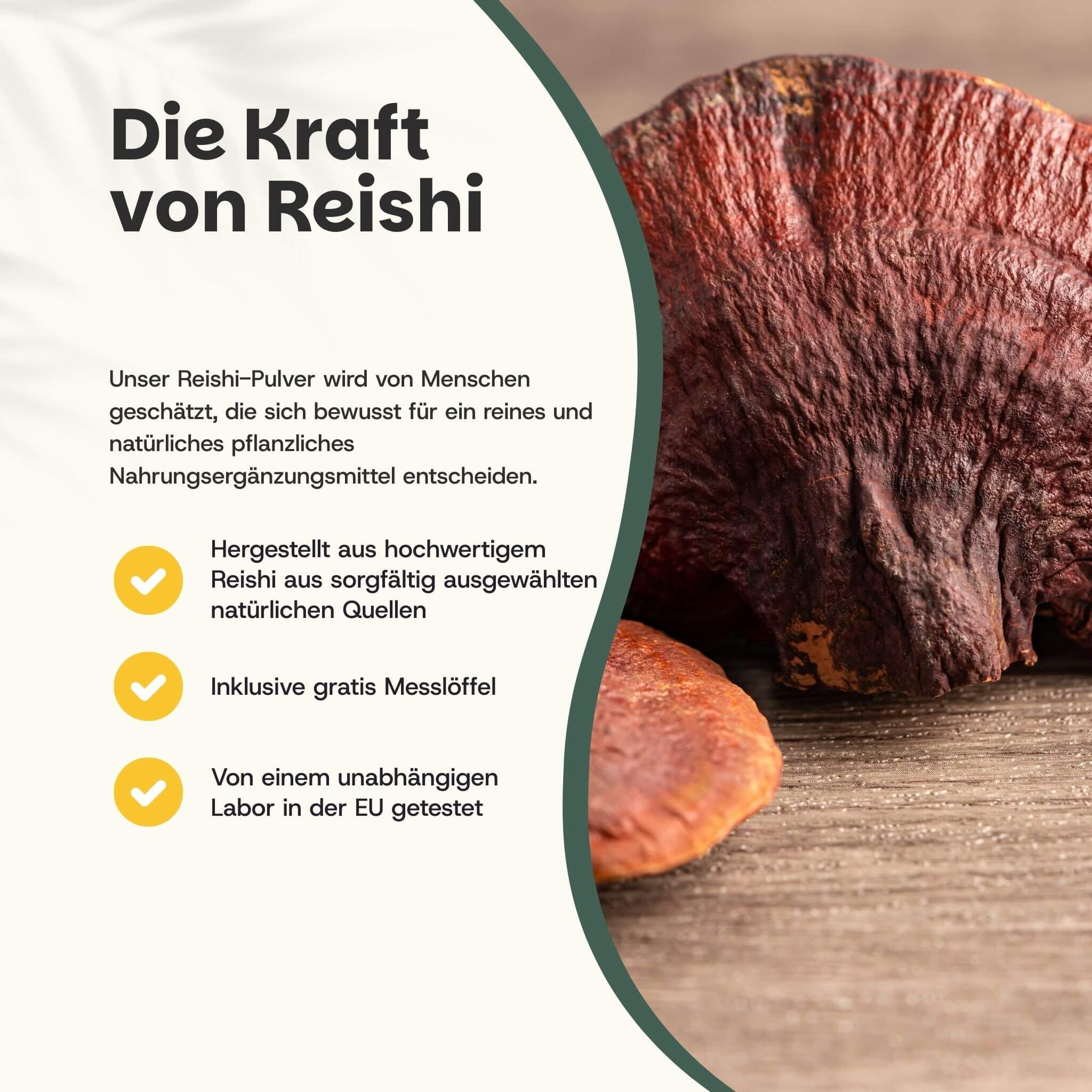 Reishi-Pilz auf Holz. Text: Die Kraft von Reishi. Hergestellt aus hochwertigem Reishi. Inklusive Messlöffel.