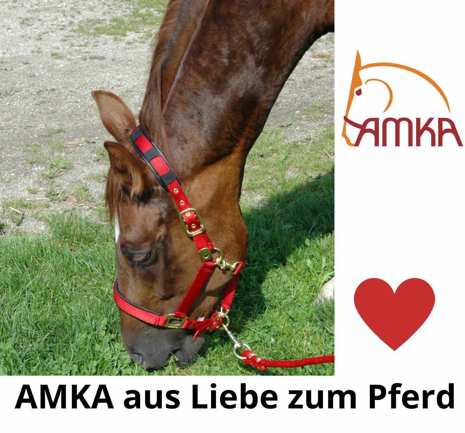 AMKA Führstrick mit Karabiner