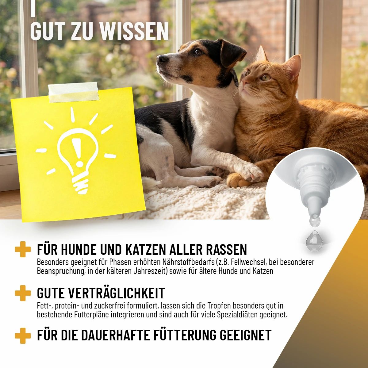 Hund und Katze liegen entspannt. Gelber Zettel mit Glühbirnen-Symbol. Tropfflasche daneben.