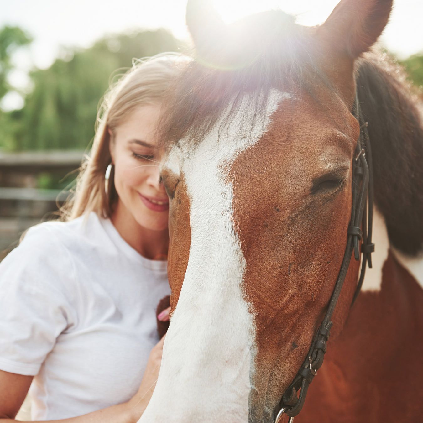 Frau umarmt Pferd. Braunes Fell, weiße Blesse. Frau trägt weißes T-Shirt und Ohrringe.