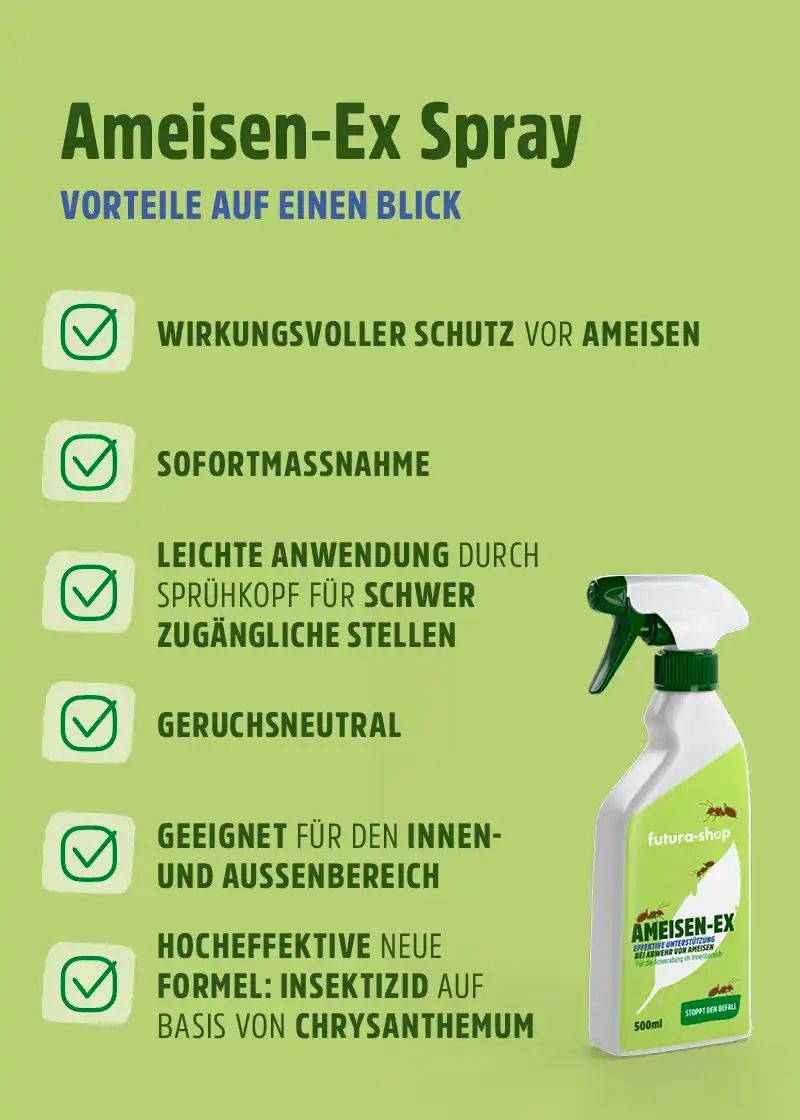 Ameisenspray | Ameisen Ex mit Langzeitwirkung