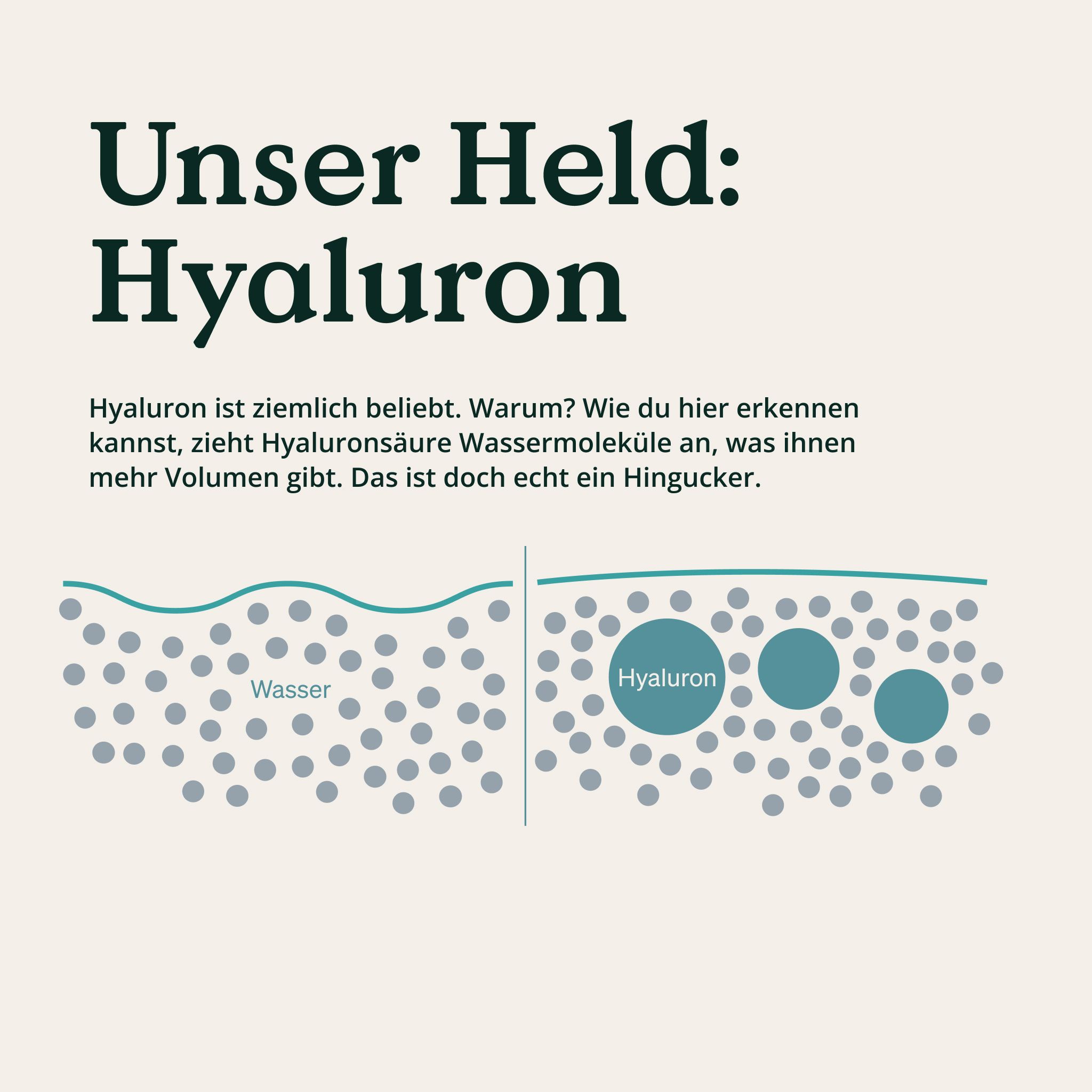 Grafik zeigt, wie Hyaluronsäure Wassermoleküle bindet und Volumen schafft.