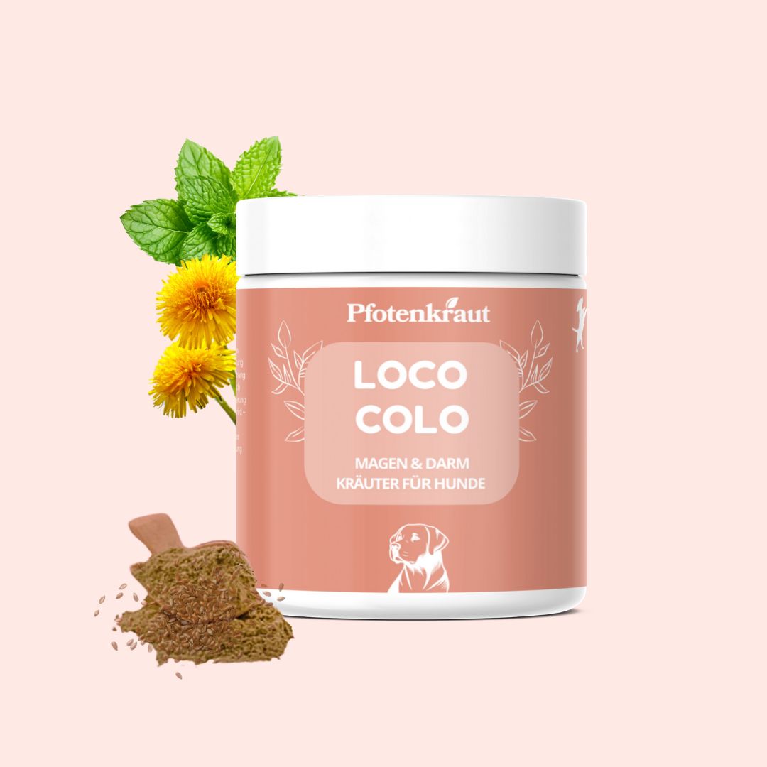 Behälter mit Produktetikett. Text: Pfotenkraut, LOCO COLO, Magen & Darm Kräuter für Hunde. Abbildung eines Hundes.