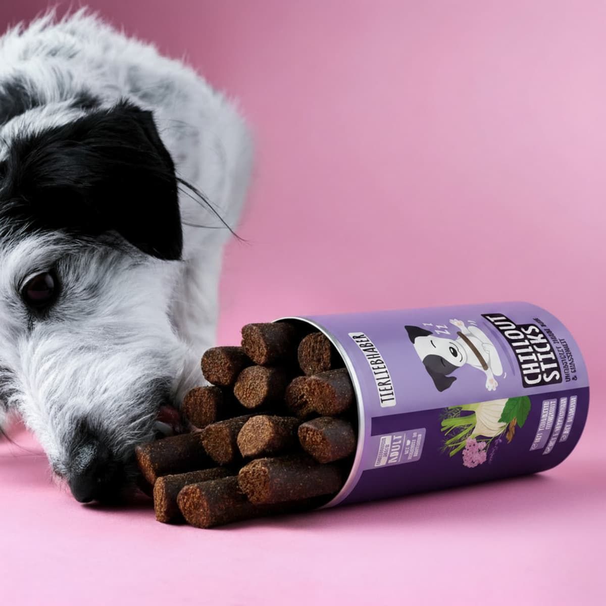 Hund schnuppert an einer geöffneten Dose Tierliebhaber Chillout Sticks, gefüllt mit Sticks.