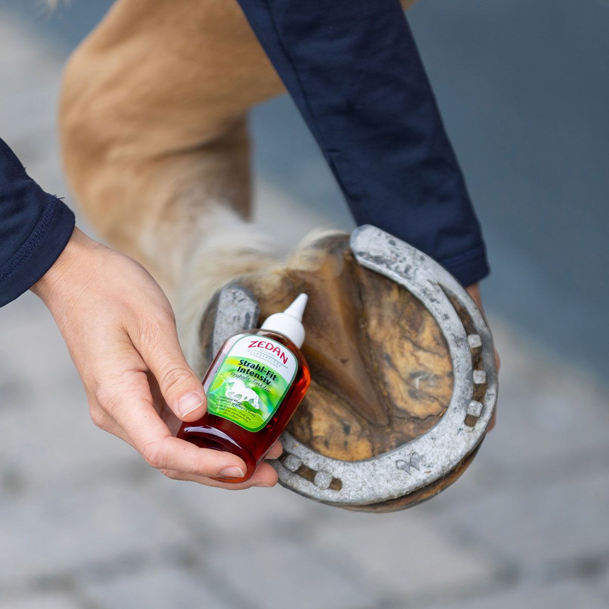Flasche Zedan Strahl-Fit Intensiv wird neben einem Pferdehuf gehalten.