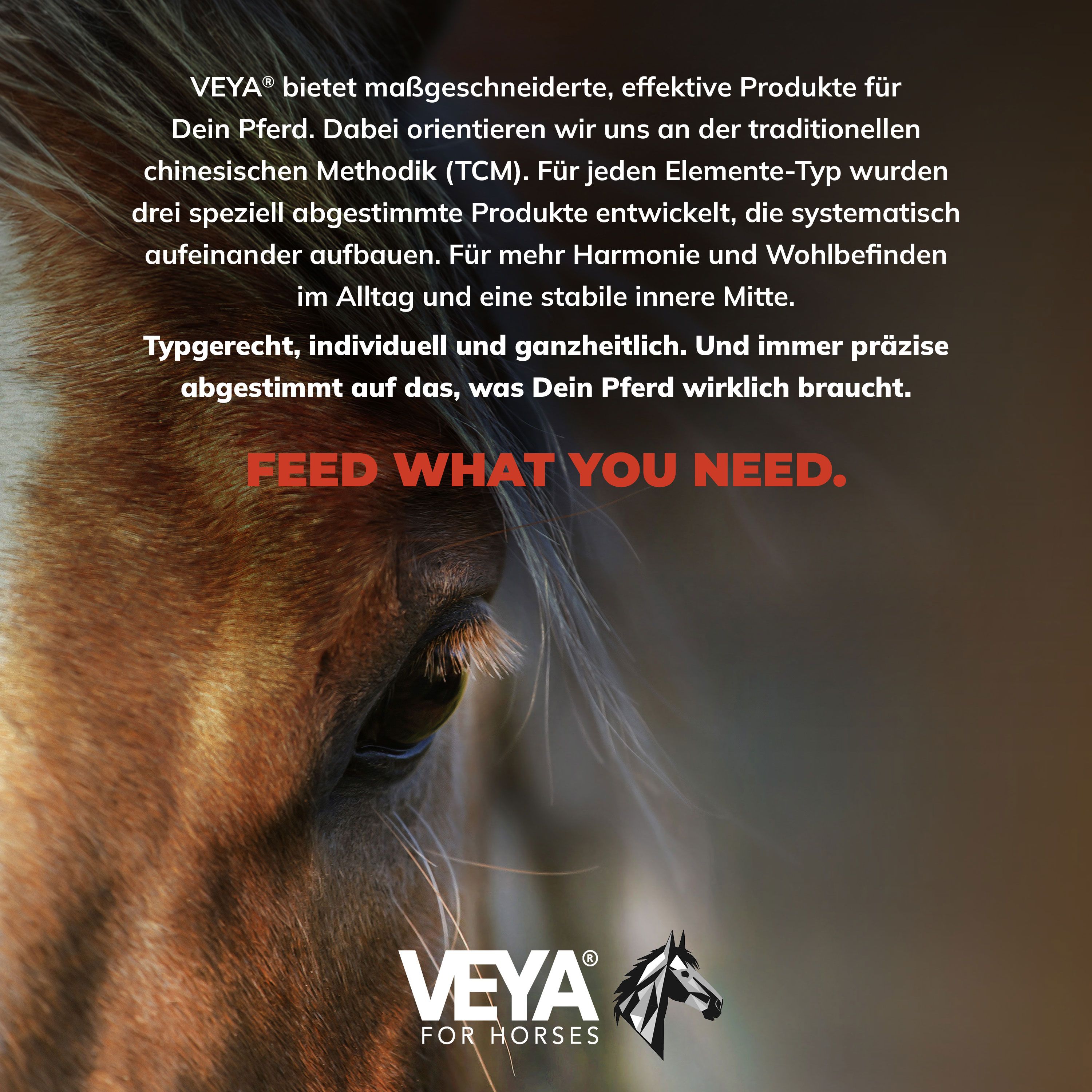 VEYA HOLZ-TYP 3 Muskulatur