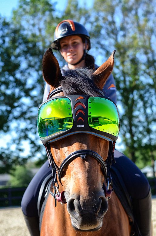 eQuick® eVysor Schutzbrille mirrored green, onesize 1 St