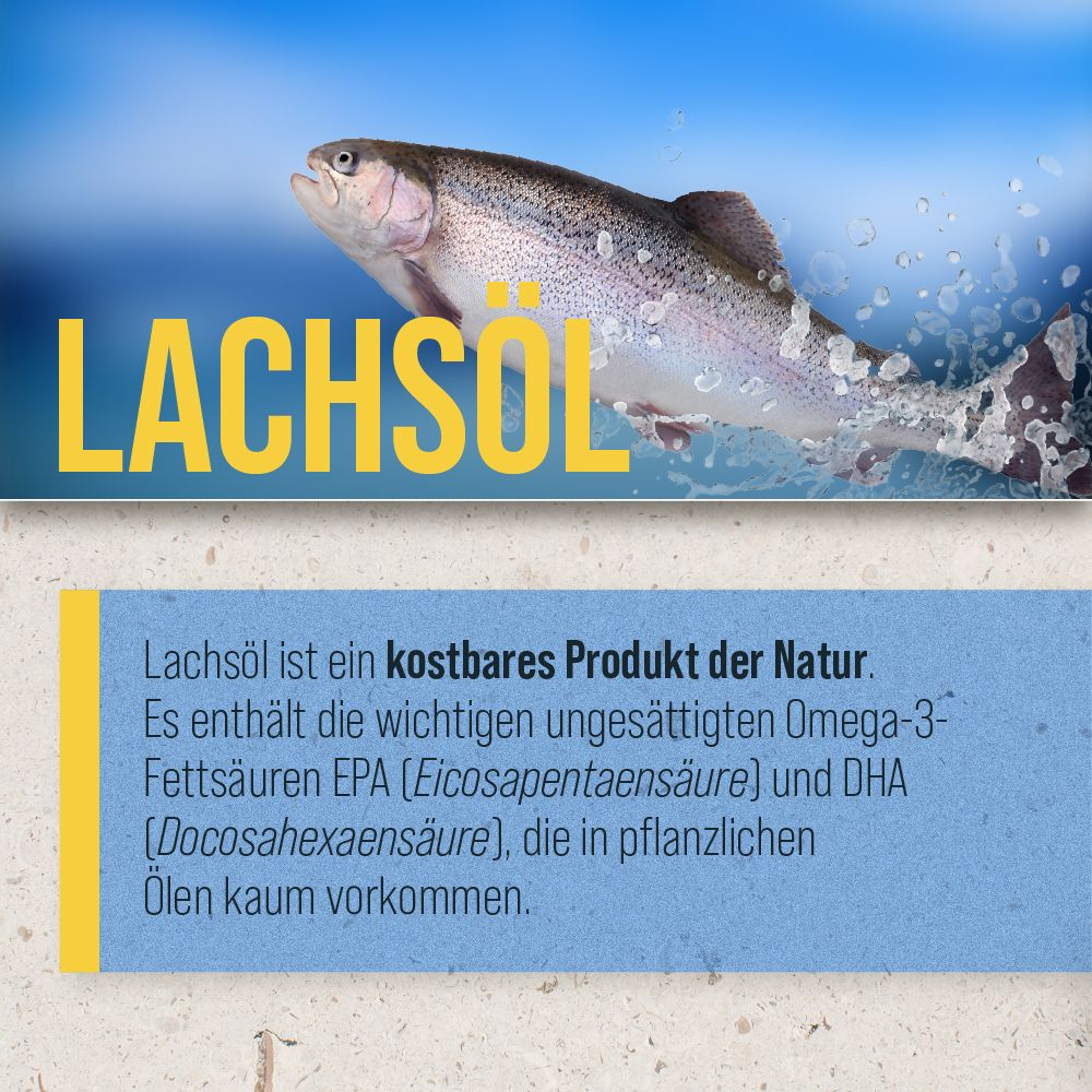 Werbebild mit Fisch und Text: Lachsöl. Enthält ungesättigte Omega-3-Fettsäuren. Text auf blauem Hintergrund.