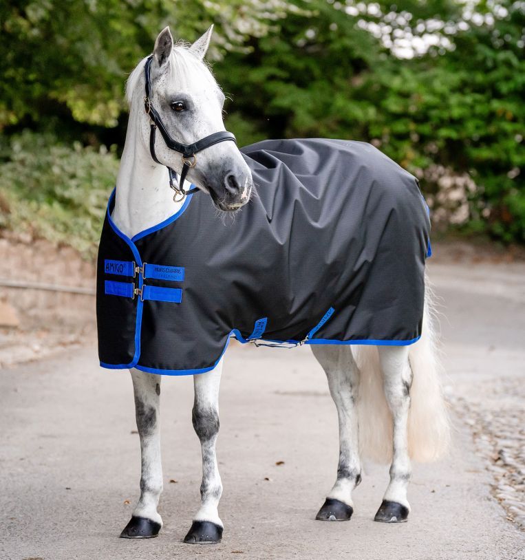 Schwarze Pferdedecke mit blauen Akzenten. Blaue Schnallen und Paspelierung. Pferd steht auf einer Straße.
