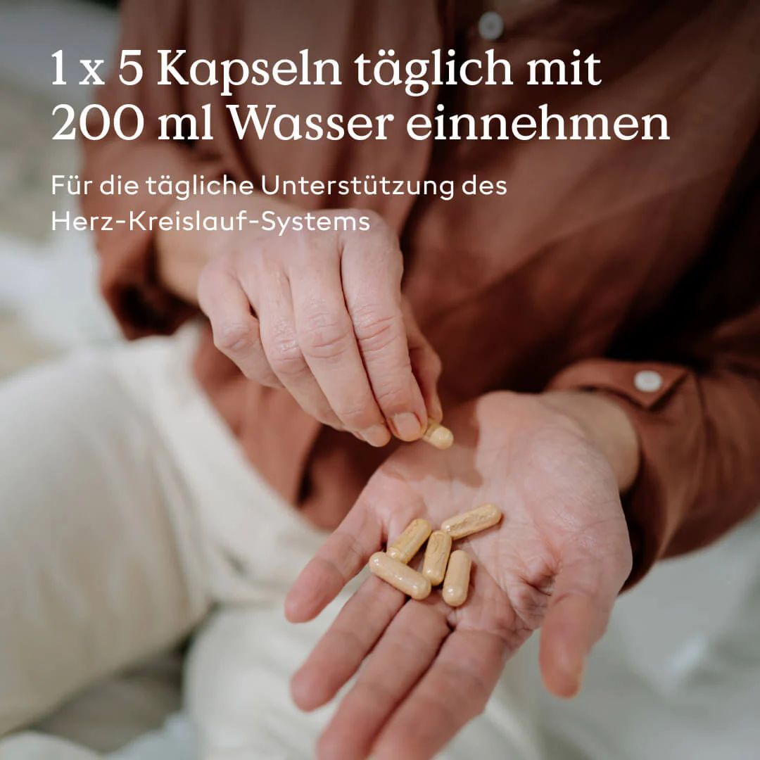 Health Routine Cardio Balance