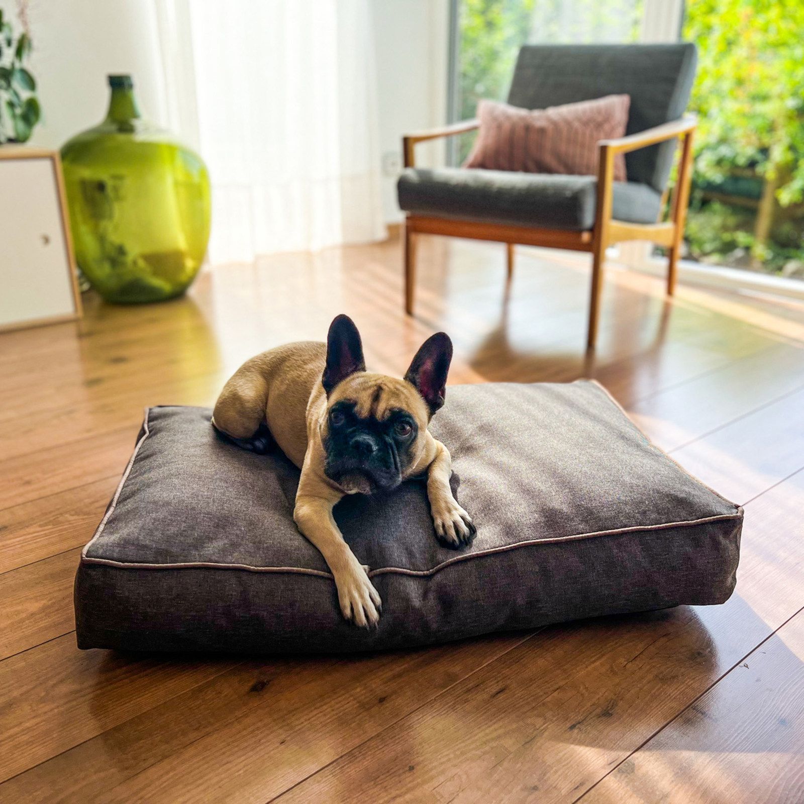 Hund liegt auf rechteckigem Kissen. Grauer Stoff, rosafarbene Kante.
