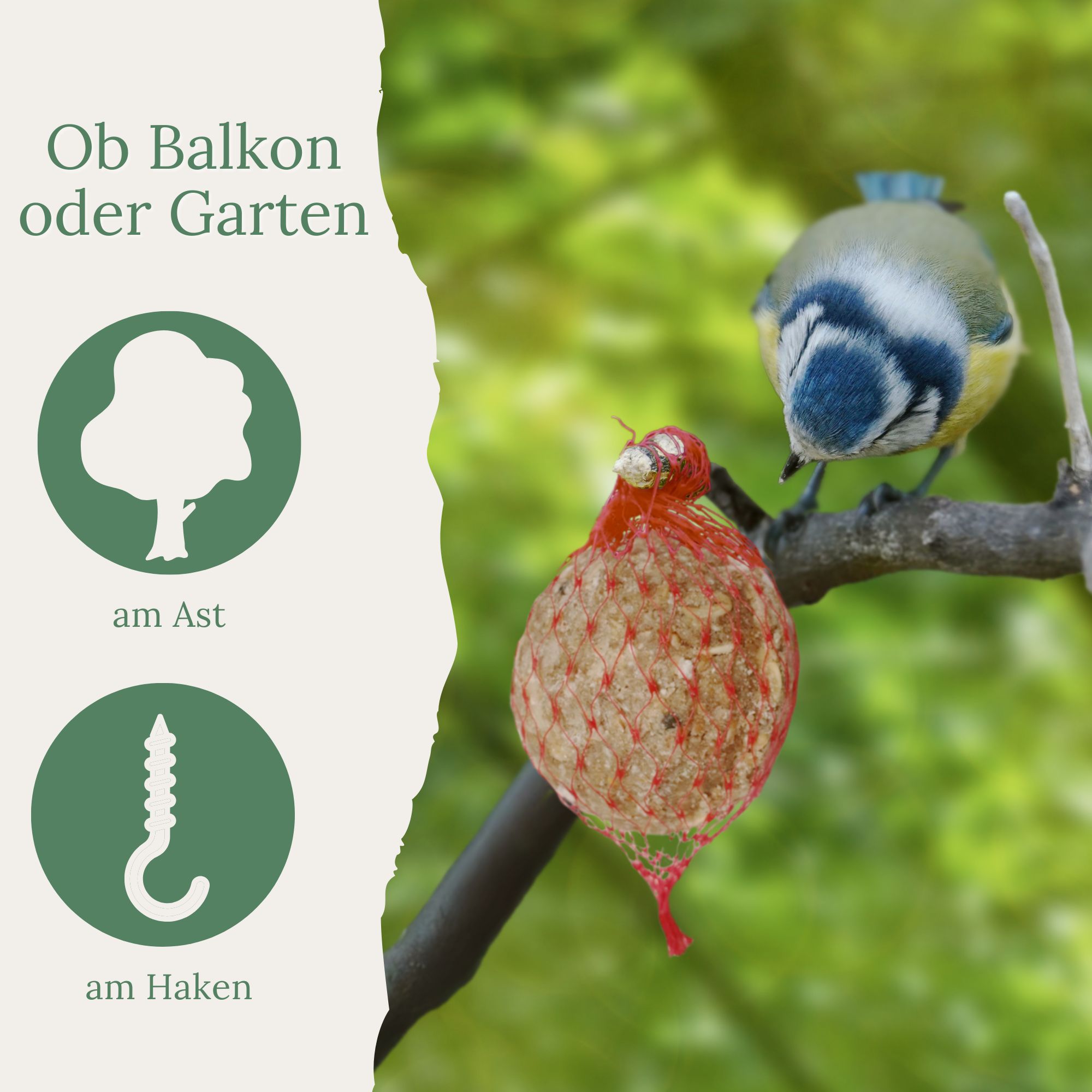Ein Meisenknödel in rotem Netz hängt an einem Ast. Daneben ein Baum- und ein Haken-Symbol.
