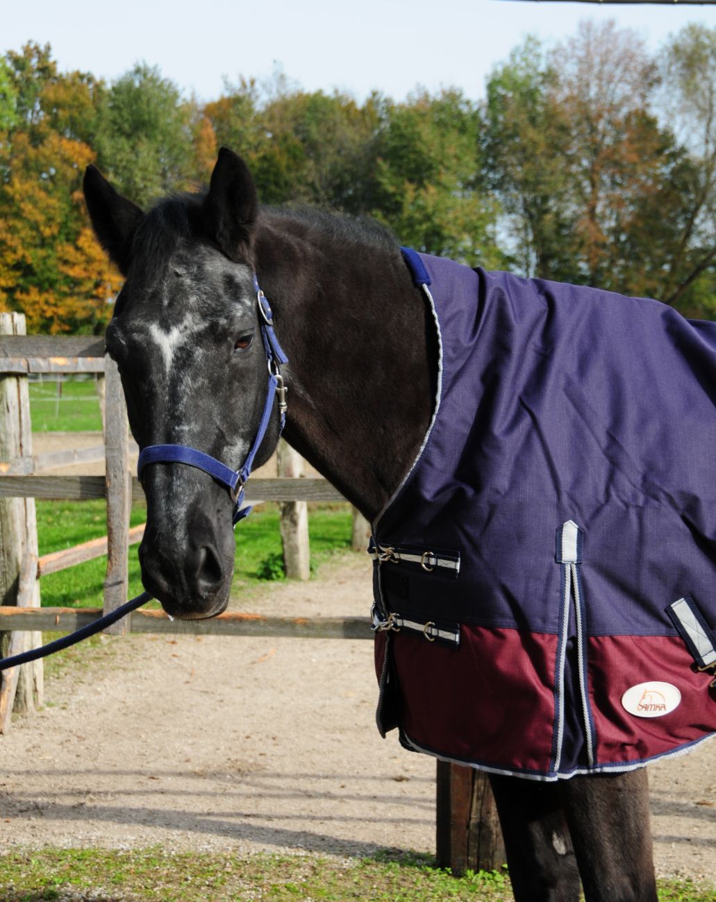 AMKA Pferde Weide Outdoordecke