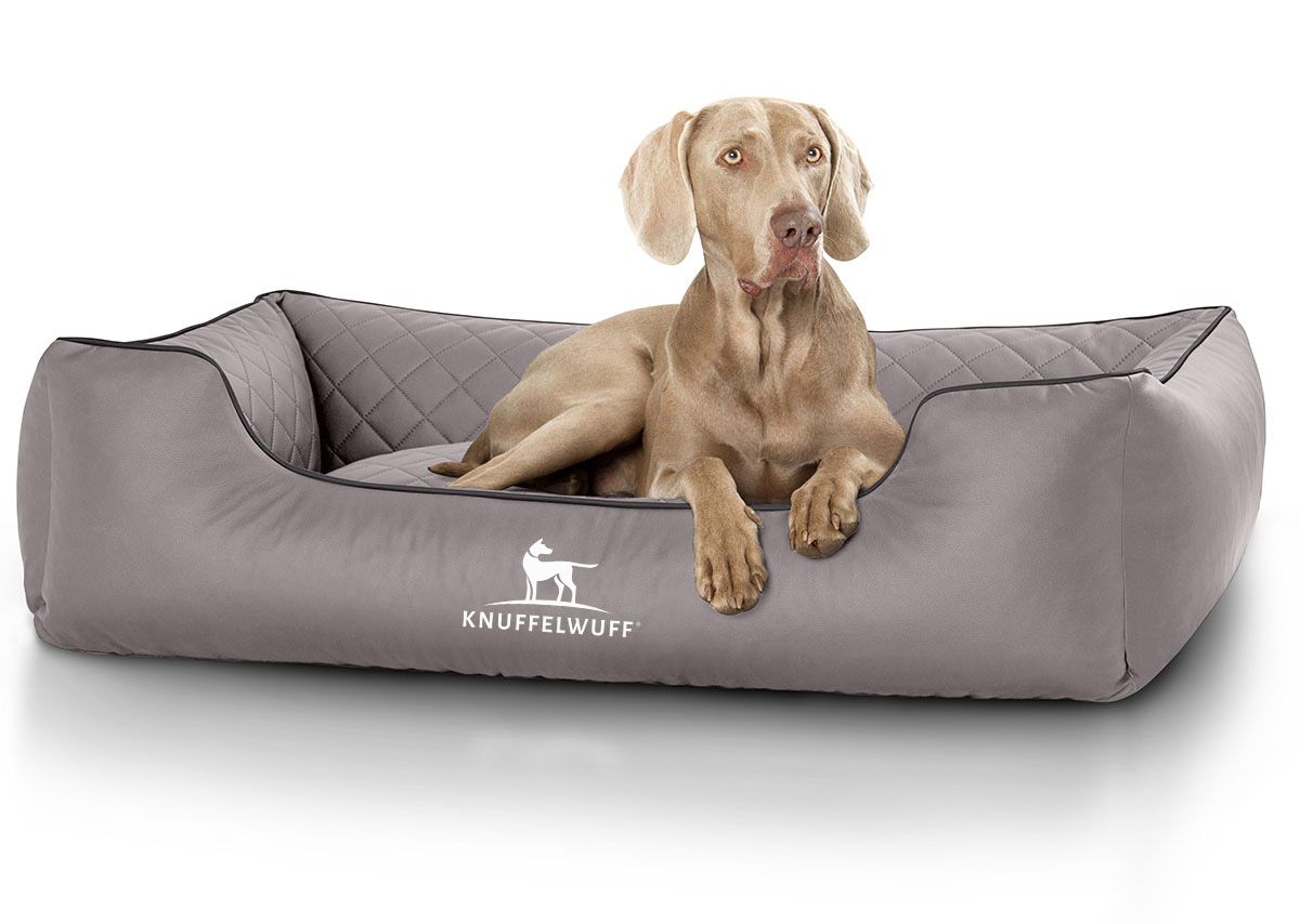 Graues orthopädisches Hundebett mit Hund. Gesteppte Oberfläche, schwarze Umrandung. Logo: Knuffelwuff.
