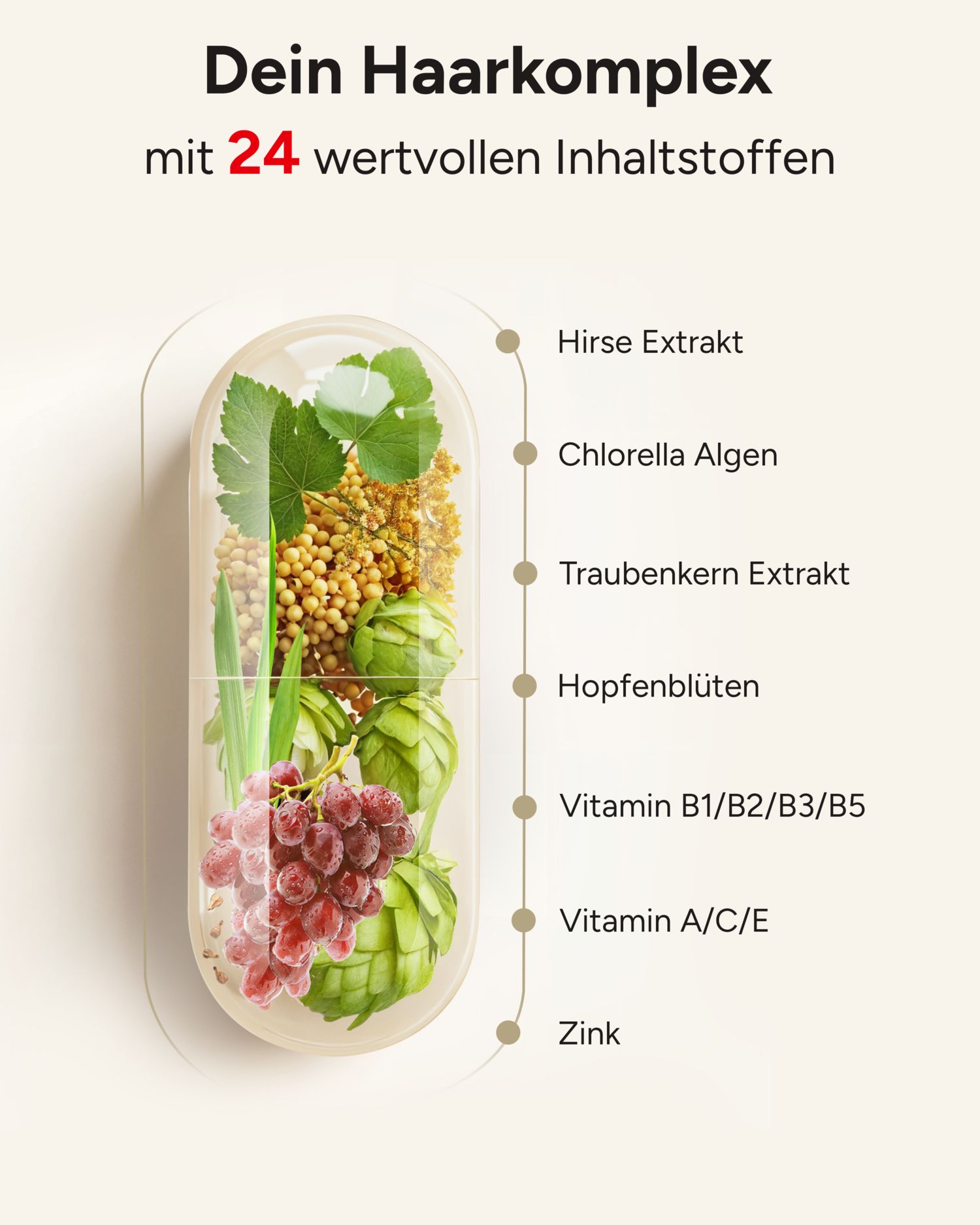 Kapsel mit Inhaltsstoffen: Hirse-Extrakt, Chlorella-Algen, Traubenkern-Extrakt, Hopfenblüten, Vitamin B1/B2/B3/B5, Vitamin A/C/E, Zink.