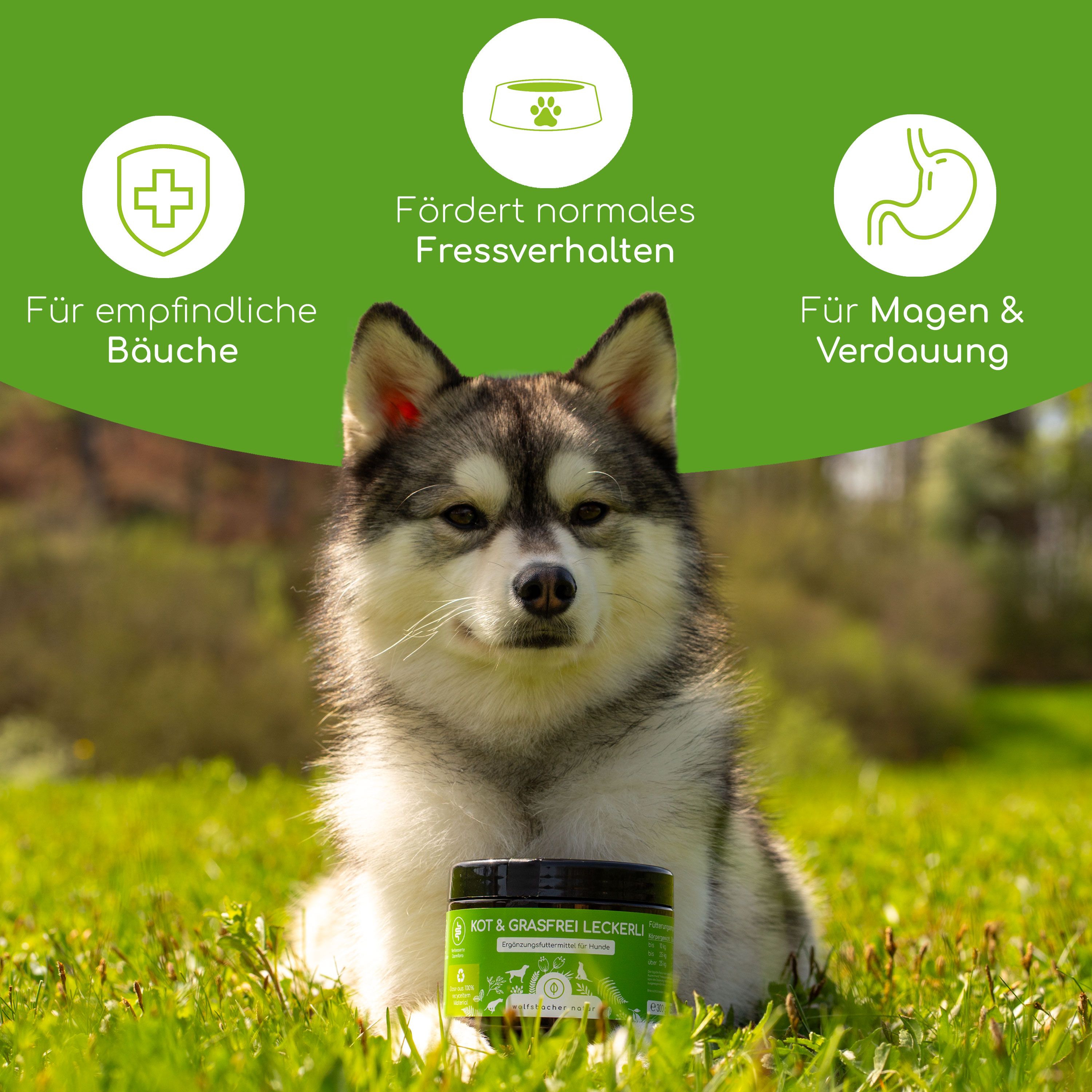 Hund sitzt im Gras neben einem Produktbehälter. Auf dem Behälter steht "KOT & GRASFREI LECKERLI". Grafiken zeigen Vorteile: empfindlicher Bauch, normales Fressverhalten, Verdauung.