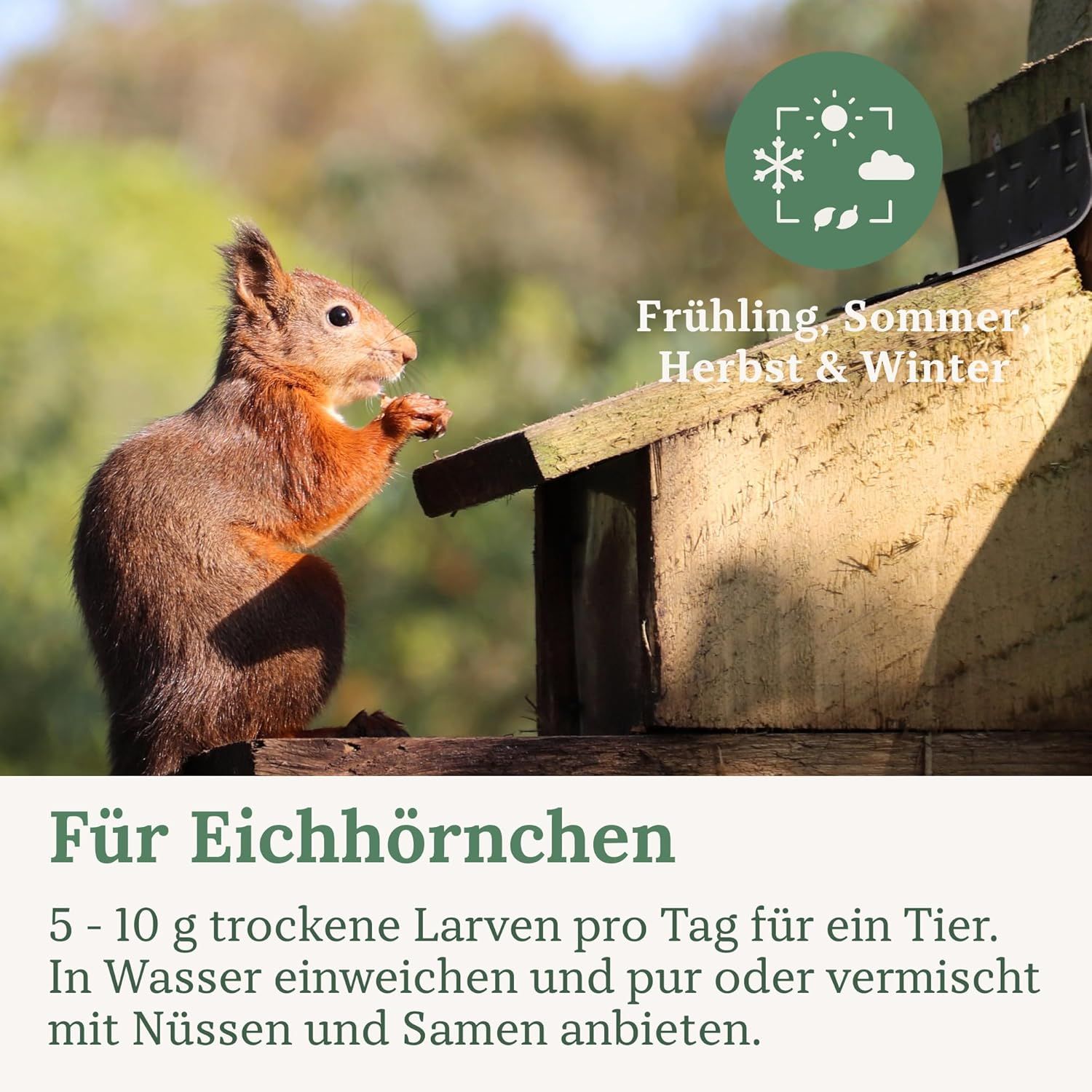 Orni Mehlwürmer getrocknet | Premium Insektenfutter für Wildvögel, Igel & Eichhörnchen