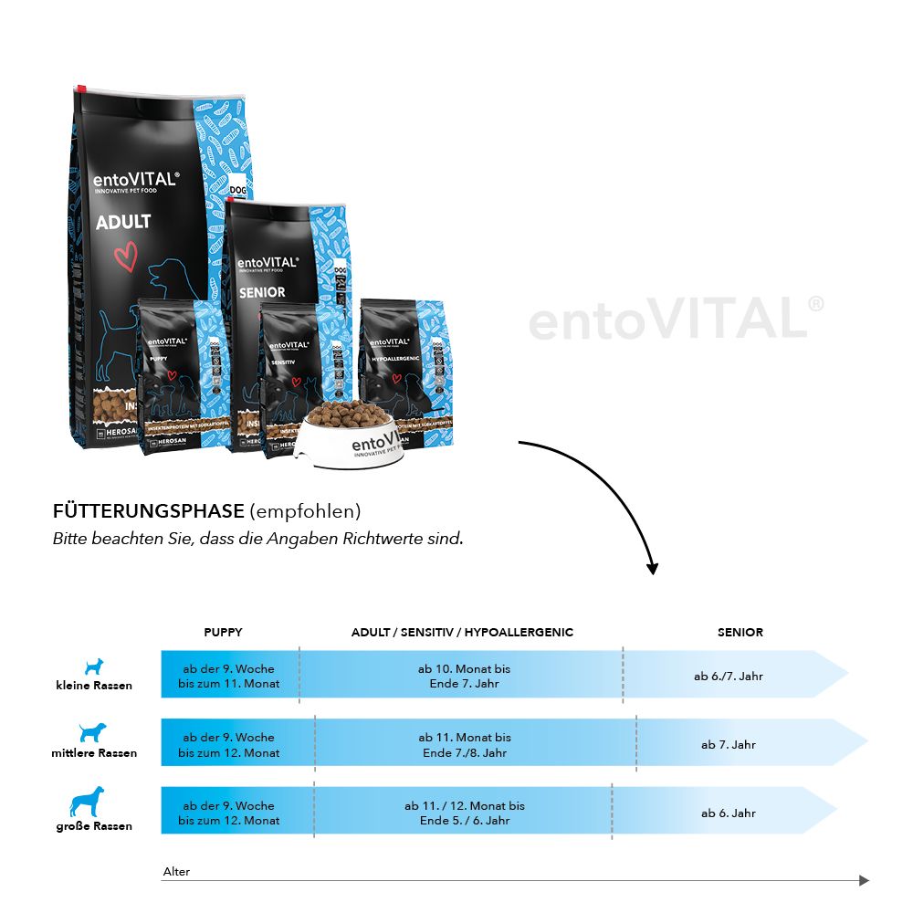 Futterphasen-Diagramm für Hunde: Puppy, Adult/Sensitiv/Hypoallergen, Senior. Verschiedene Rassen und Alter.