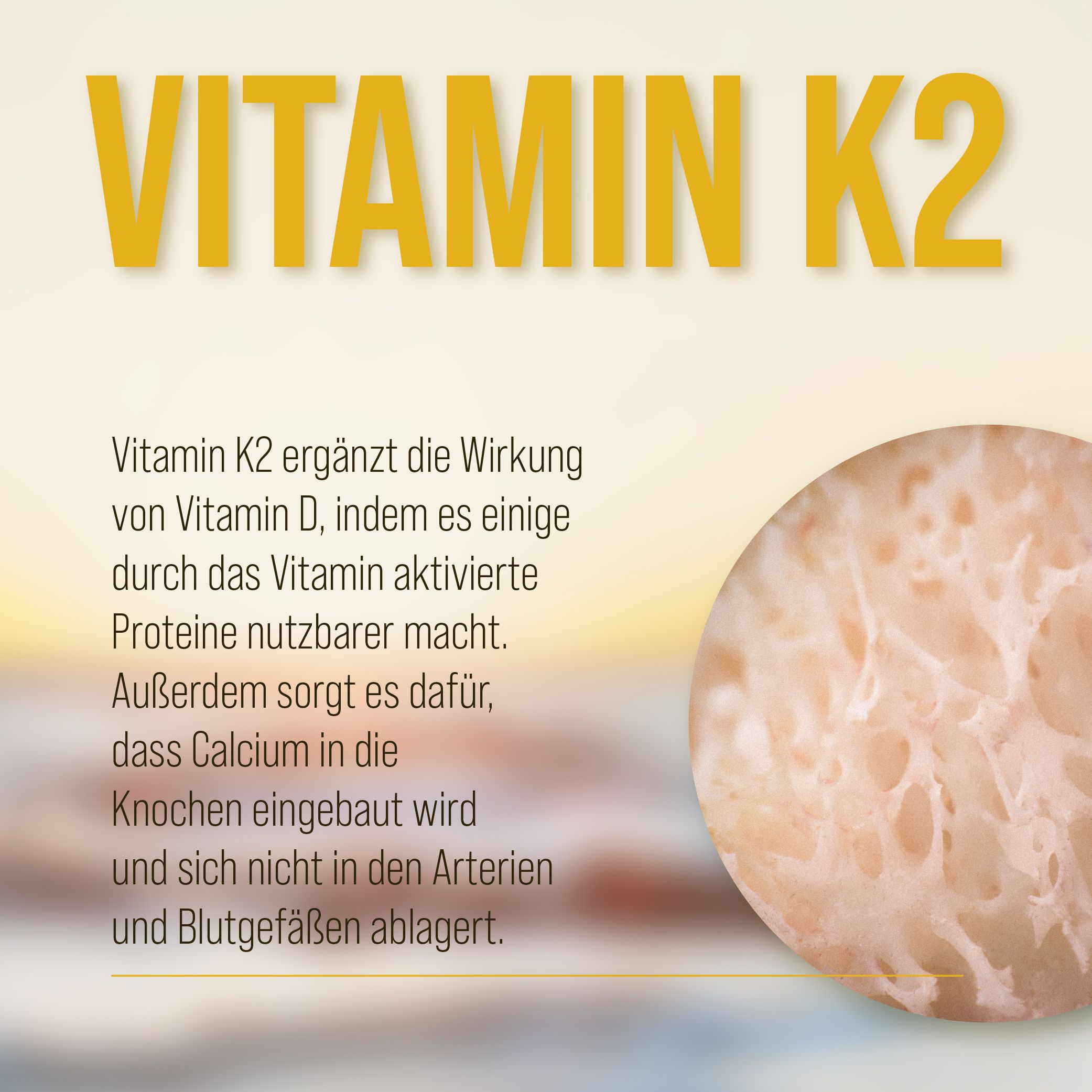 Sanct Bernhard Vitamin-D3+K2-Tropfen