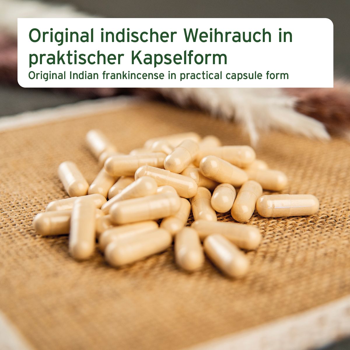 Beige Kapseln auf grobem Stoff. Text: Original indischer Weihrauch in praktischer Kapselform. Kapseln sind länglich, oval.