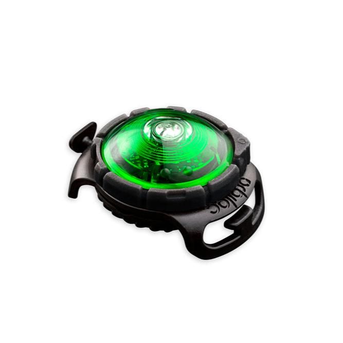 Orbiloc Sicherheitslicht Dog Dual Green